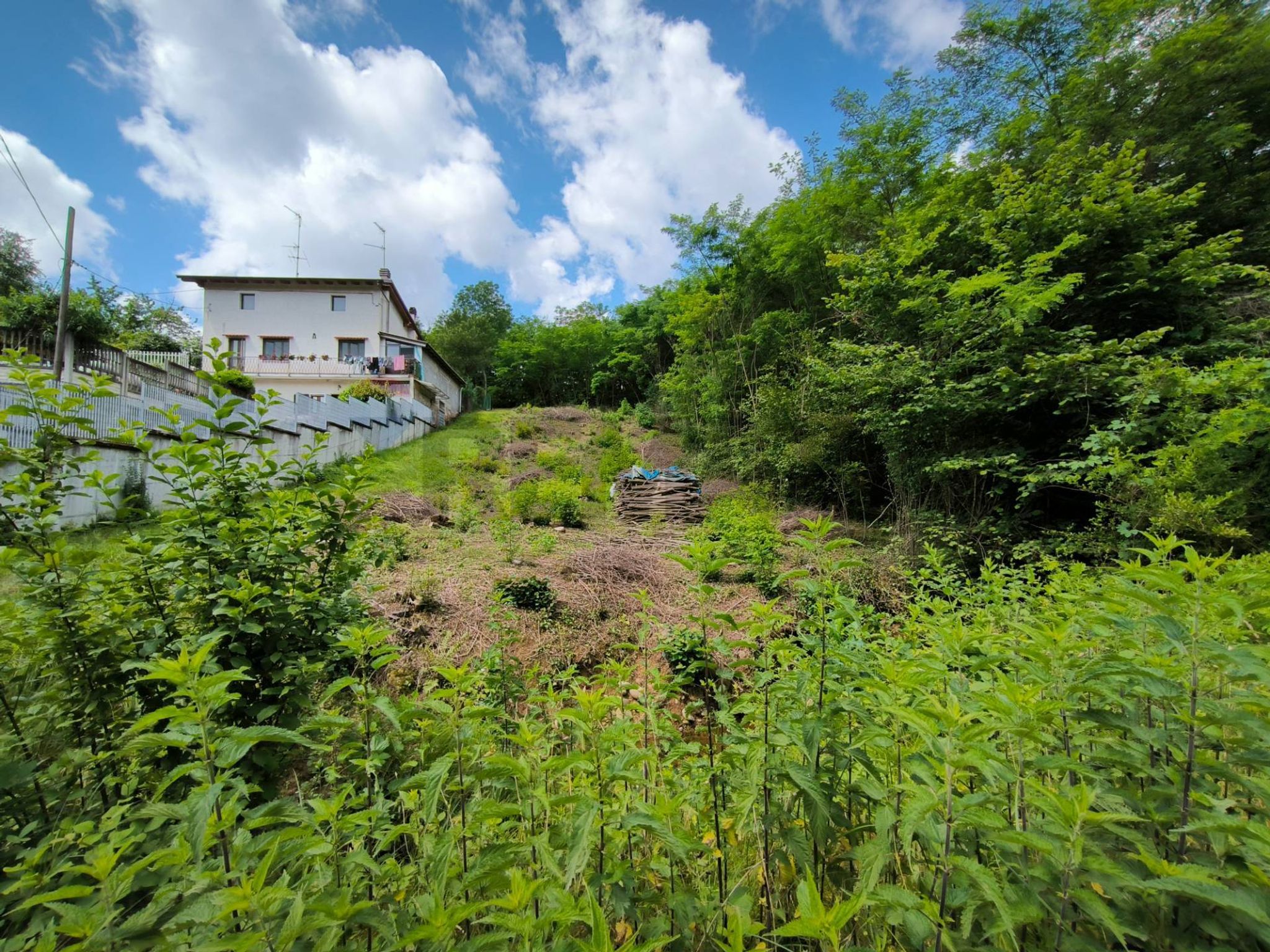 Property in Gattinara