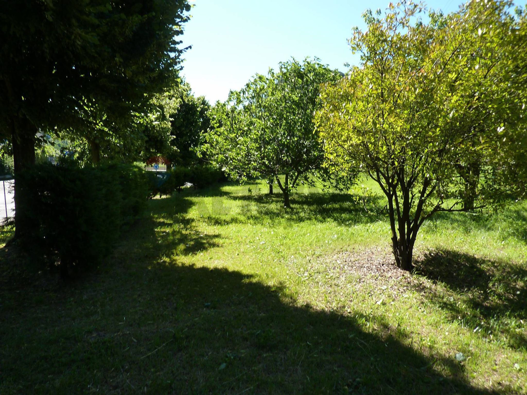 Giardino