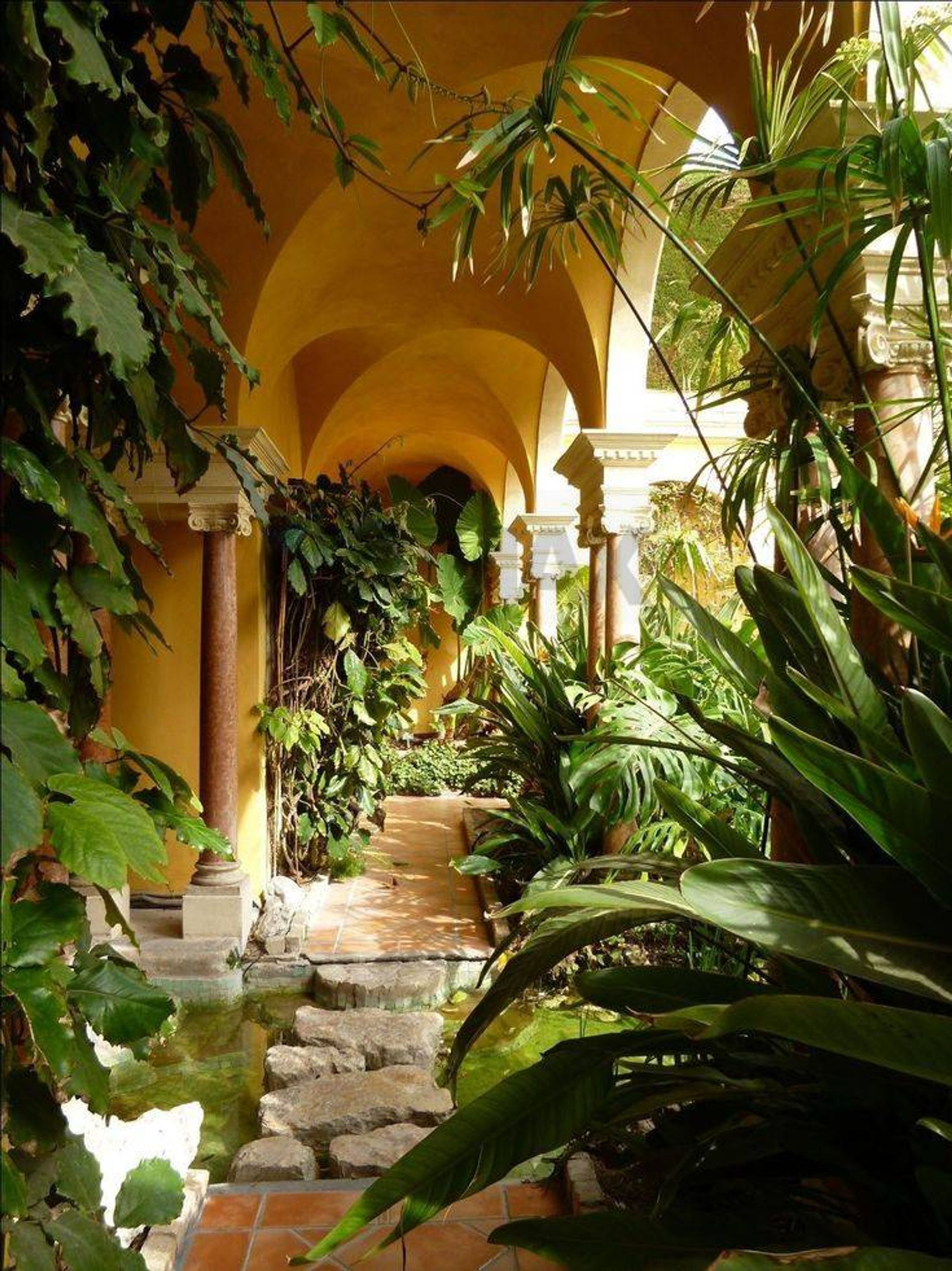 Giardino