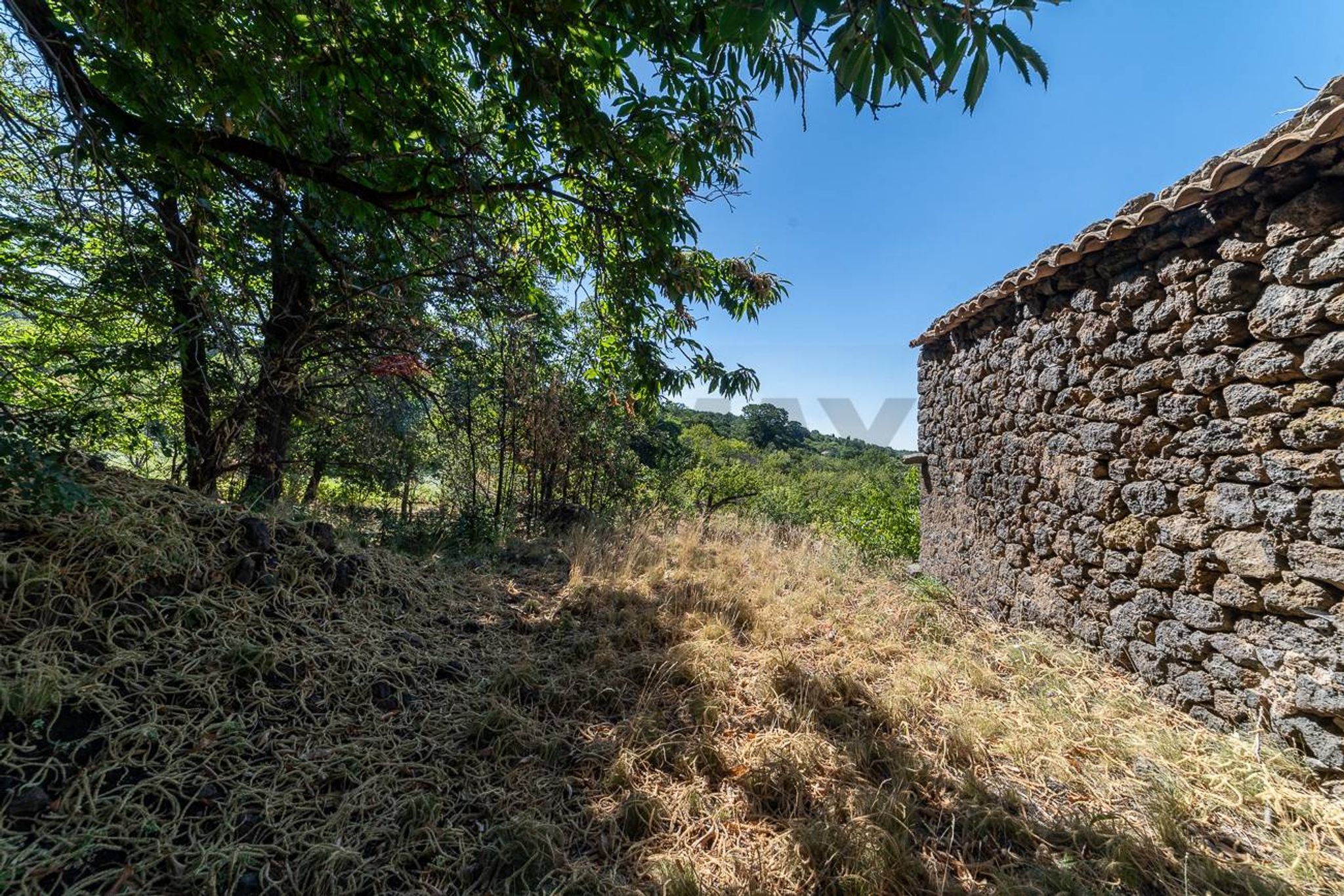 Vista delle montagne