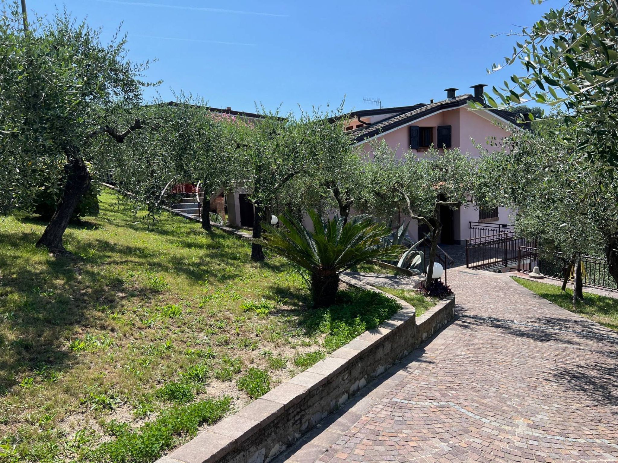 Giardino