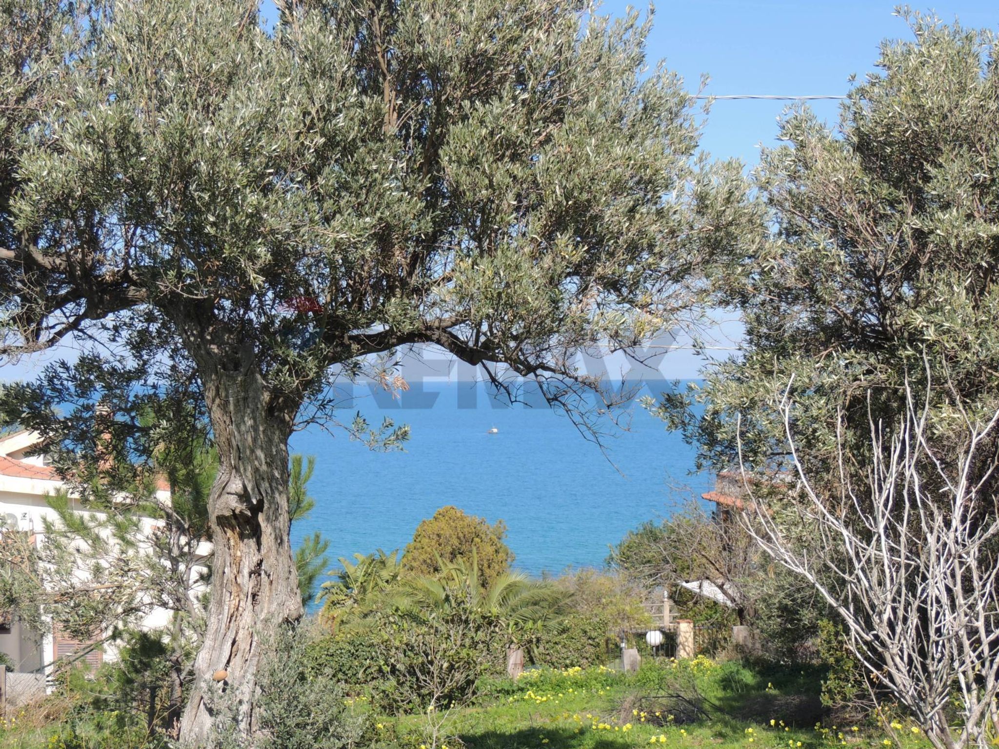 vista