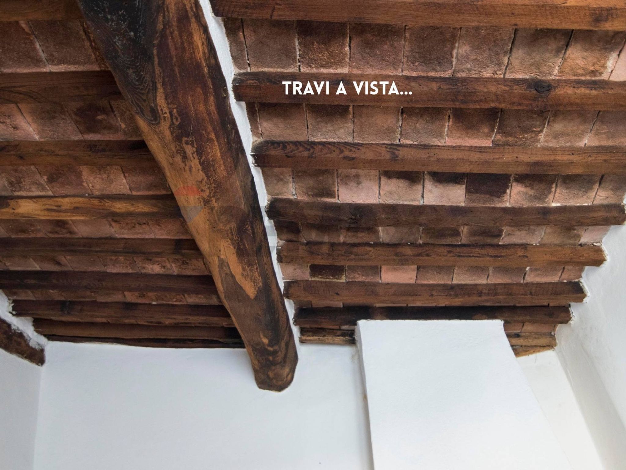 TRAVI A VISTA