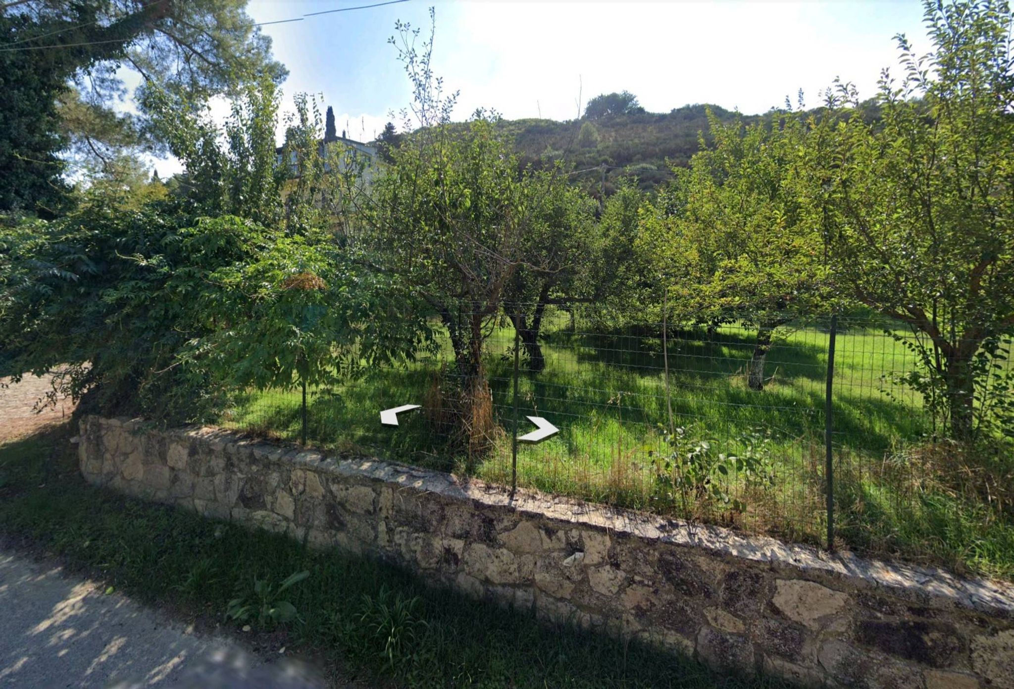 Giardino