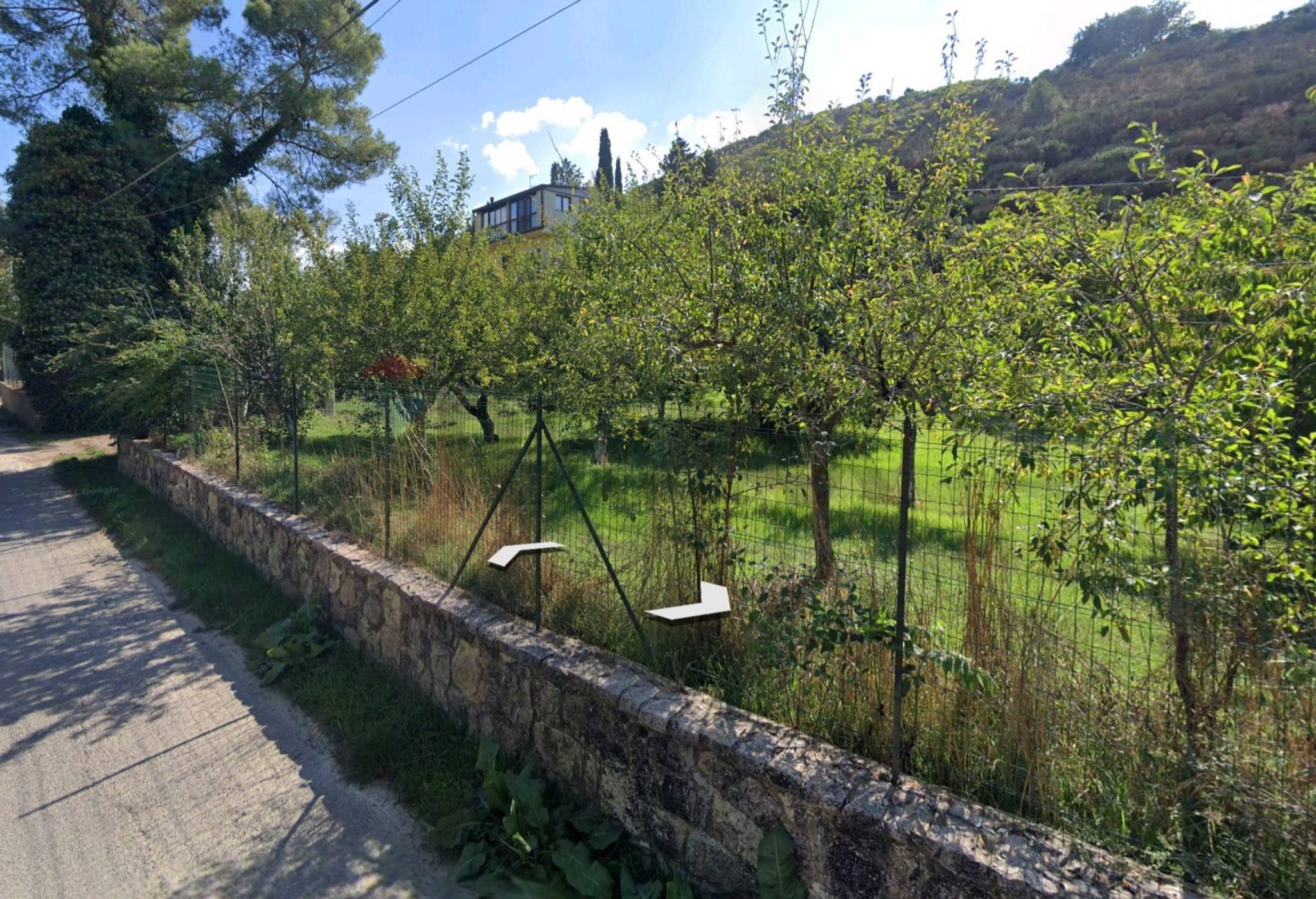 Giardino