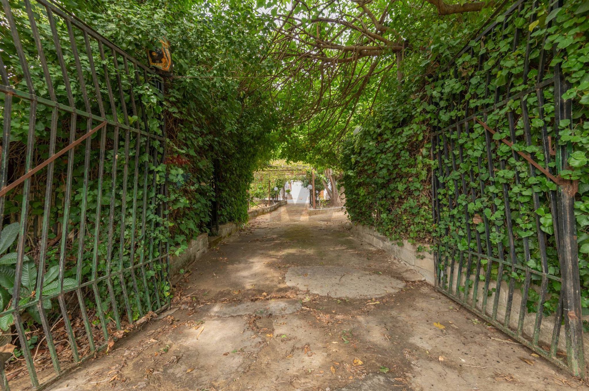 Giardino
