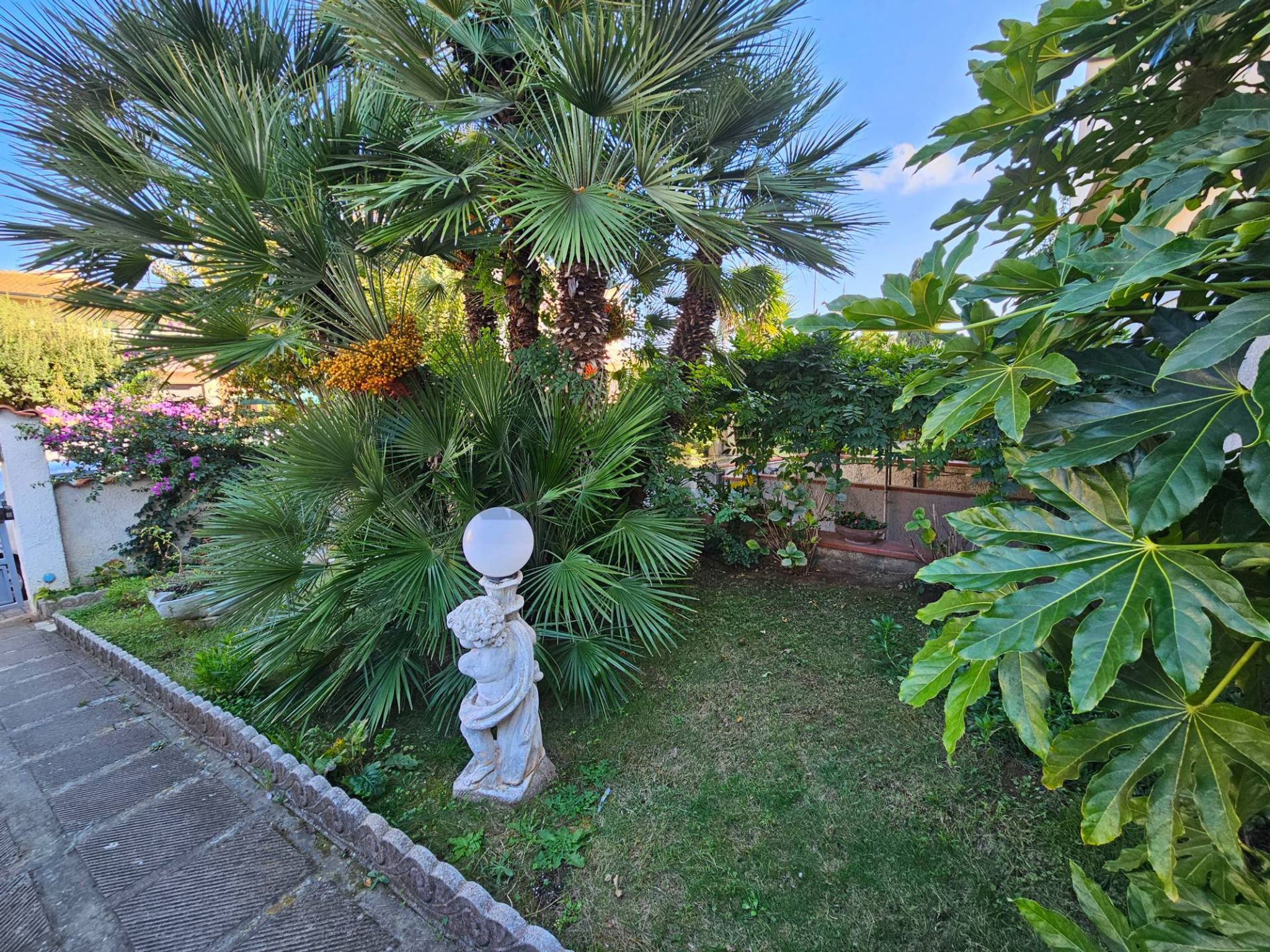 Giardino