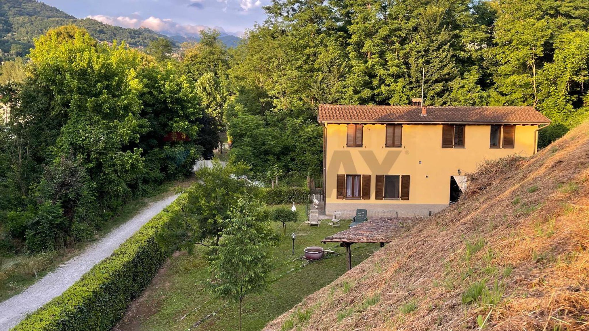 Foto 2