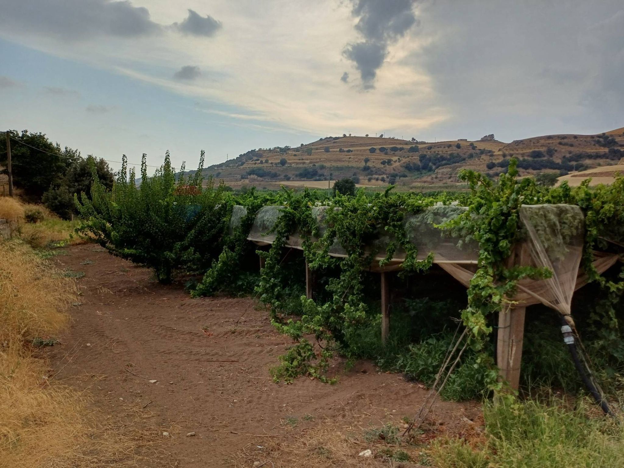Vista delle montagne