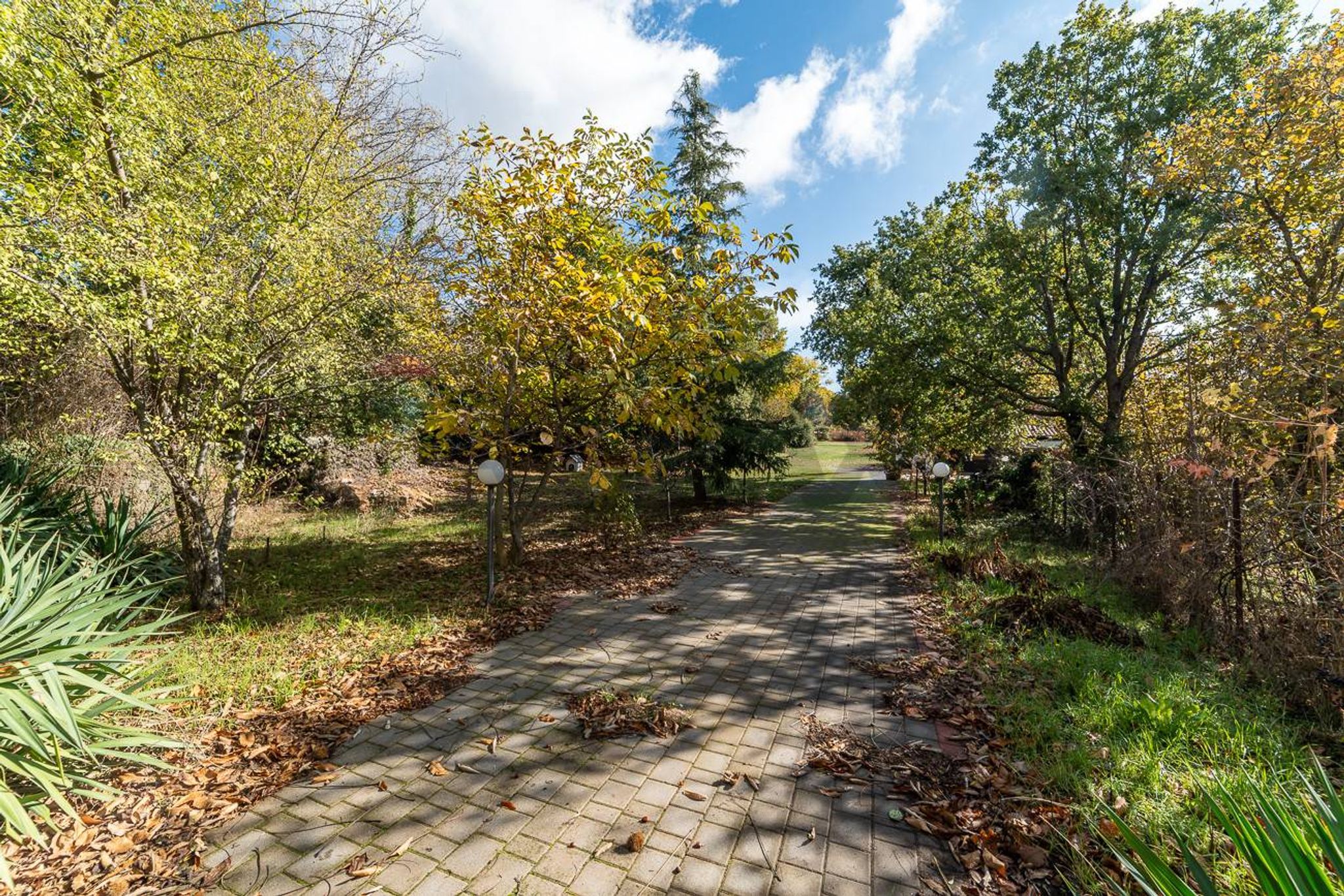 Giardino