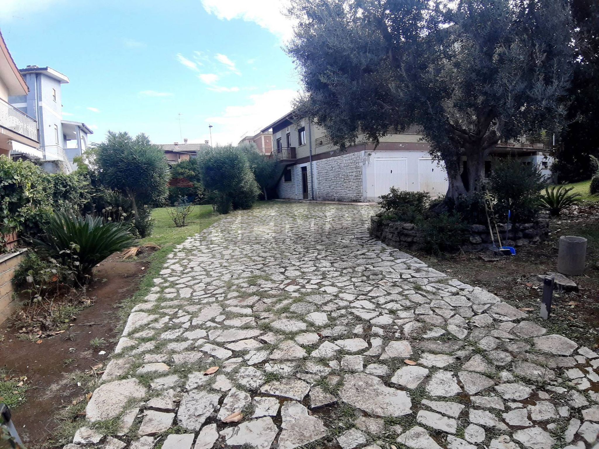 Giardino