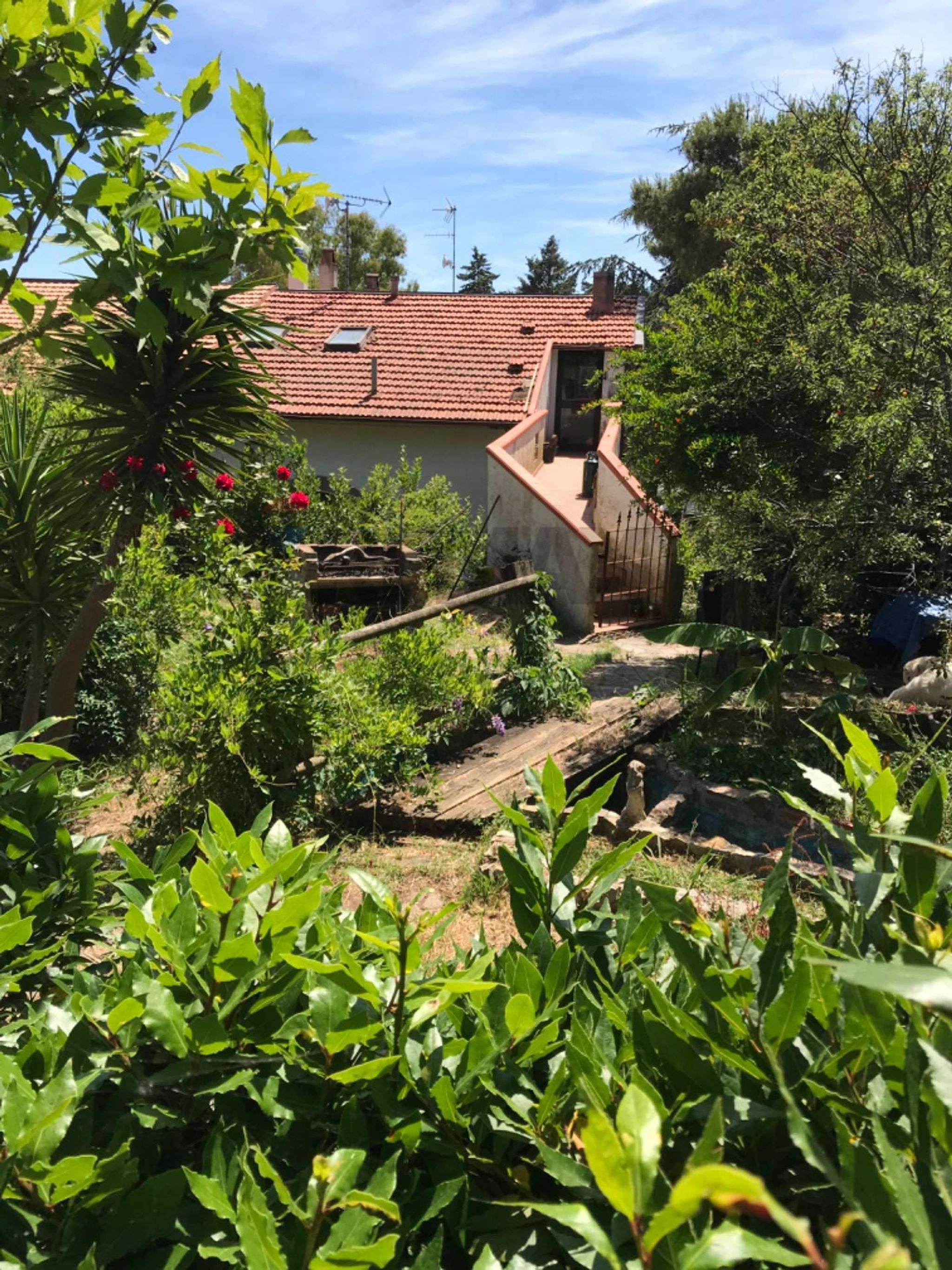 Property in Rosignano Marittimo