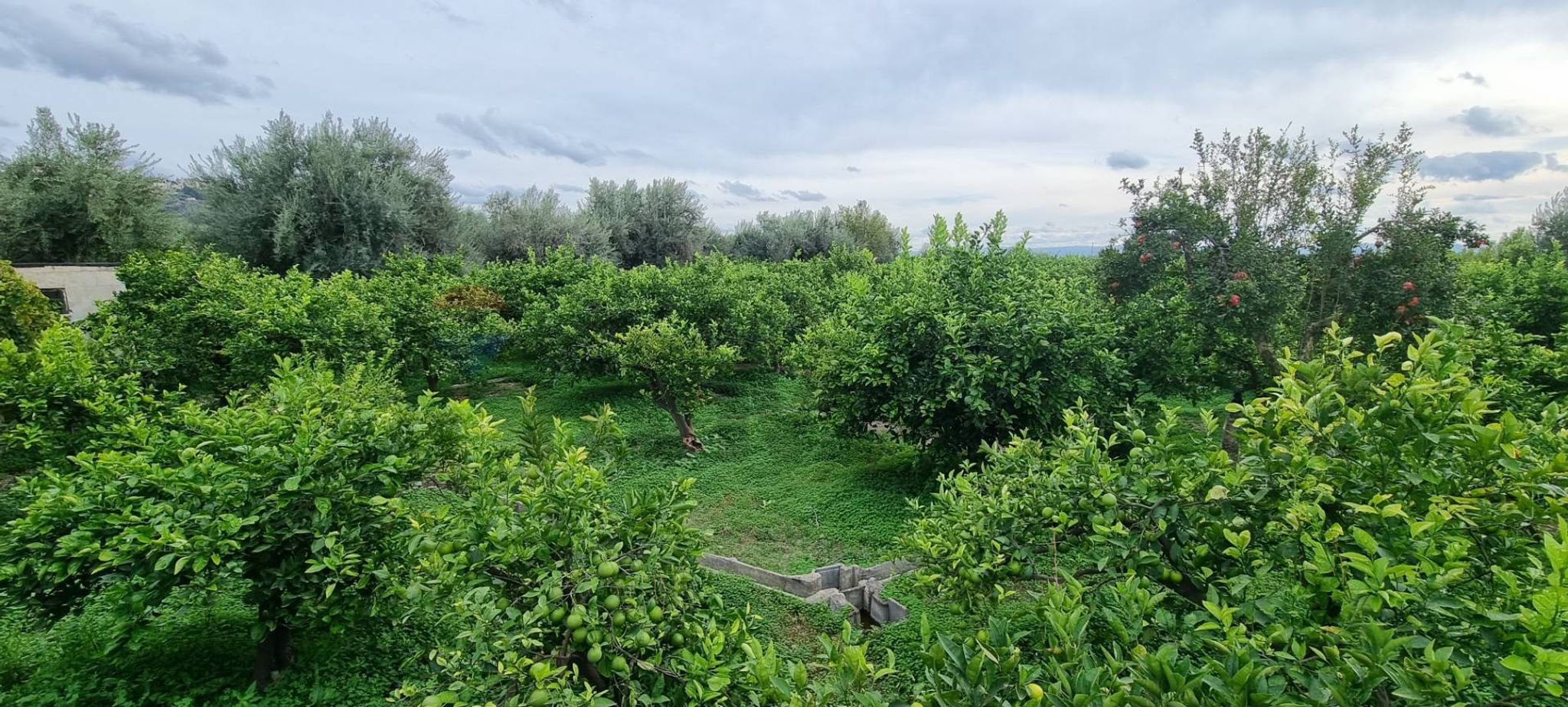 Immobile a Paternò