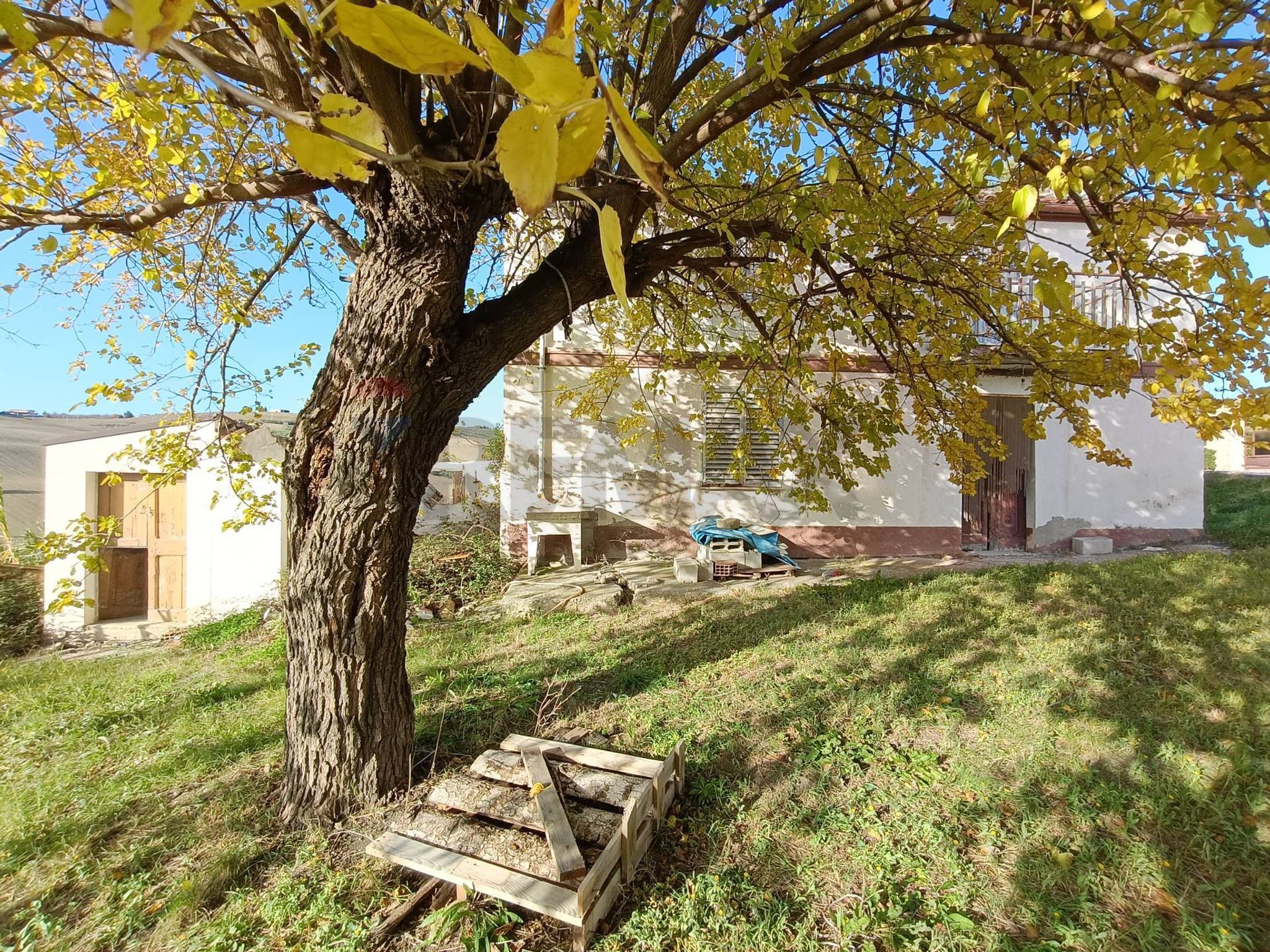 Giardino