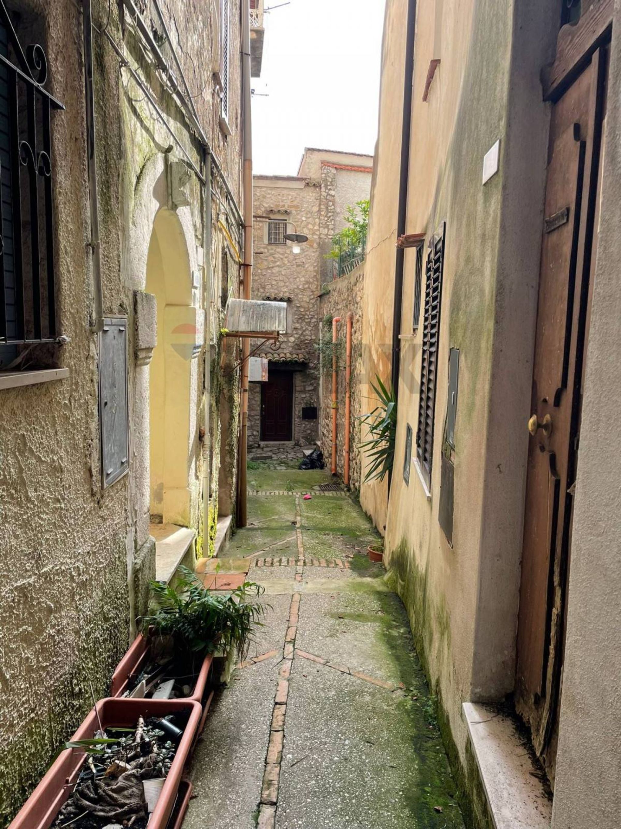 Giardino