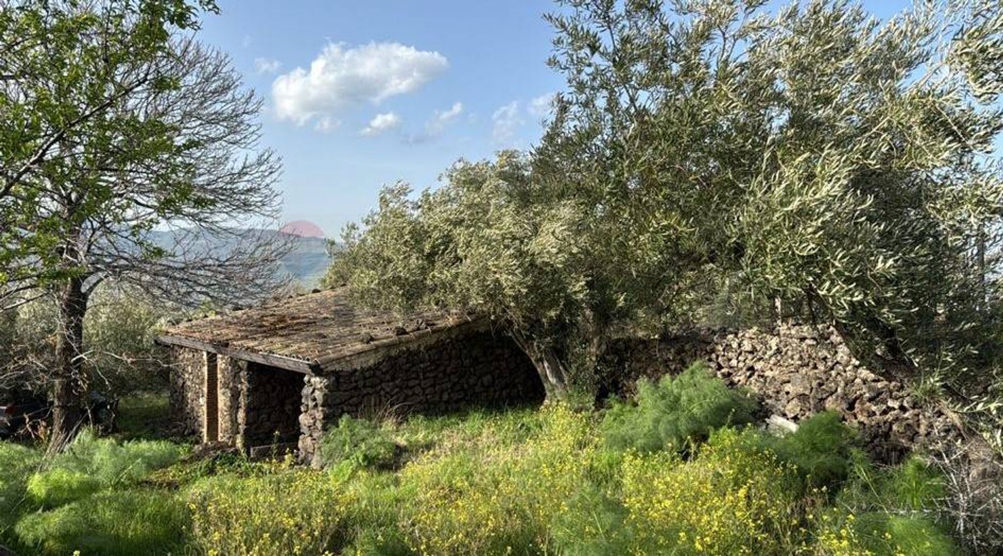 Casa all'aperto