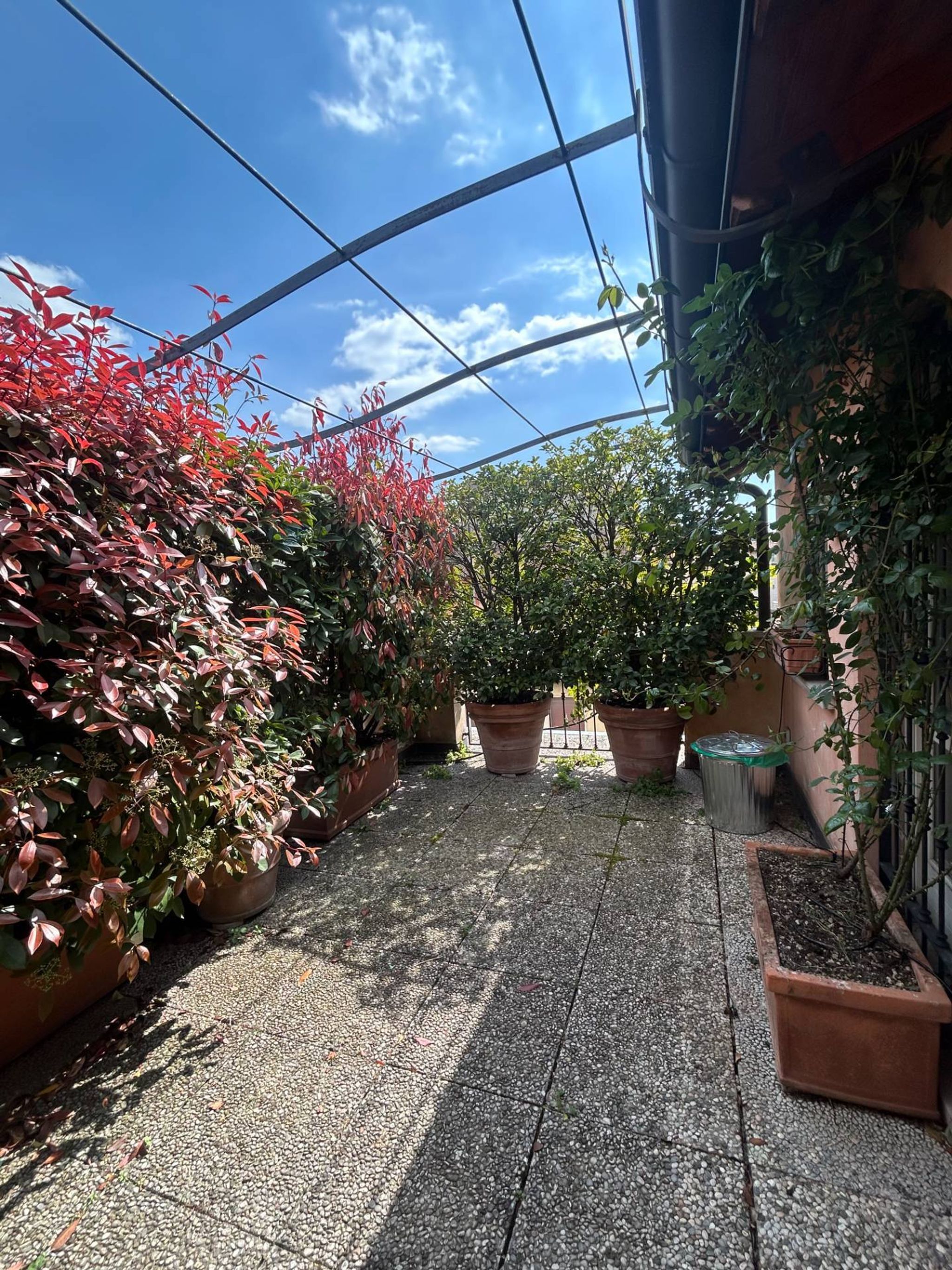 Terrazza