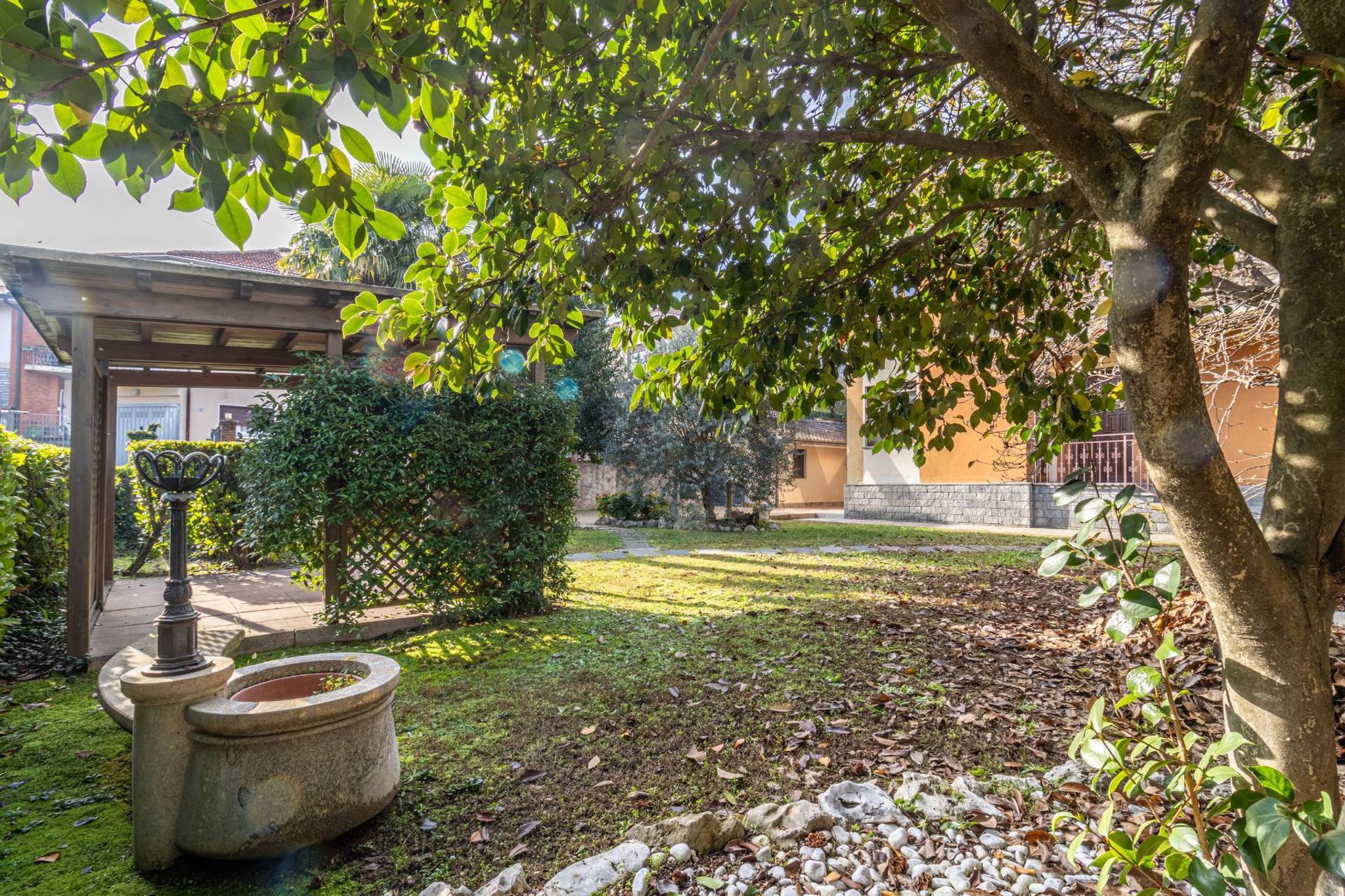 Giardino