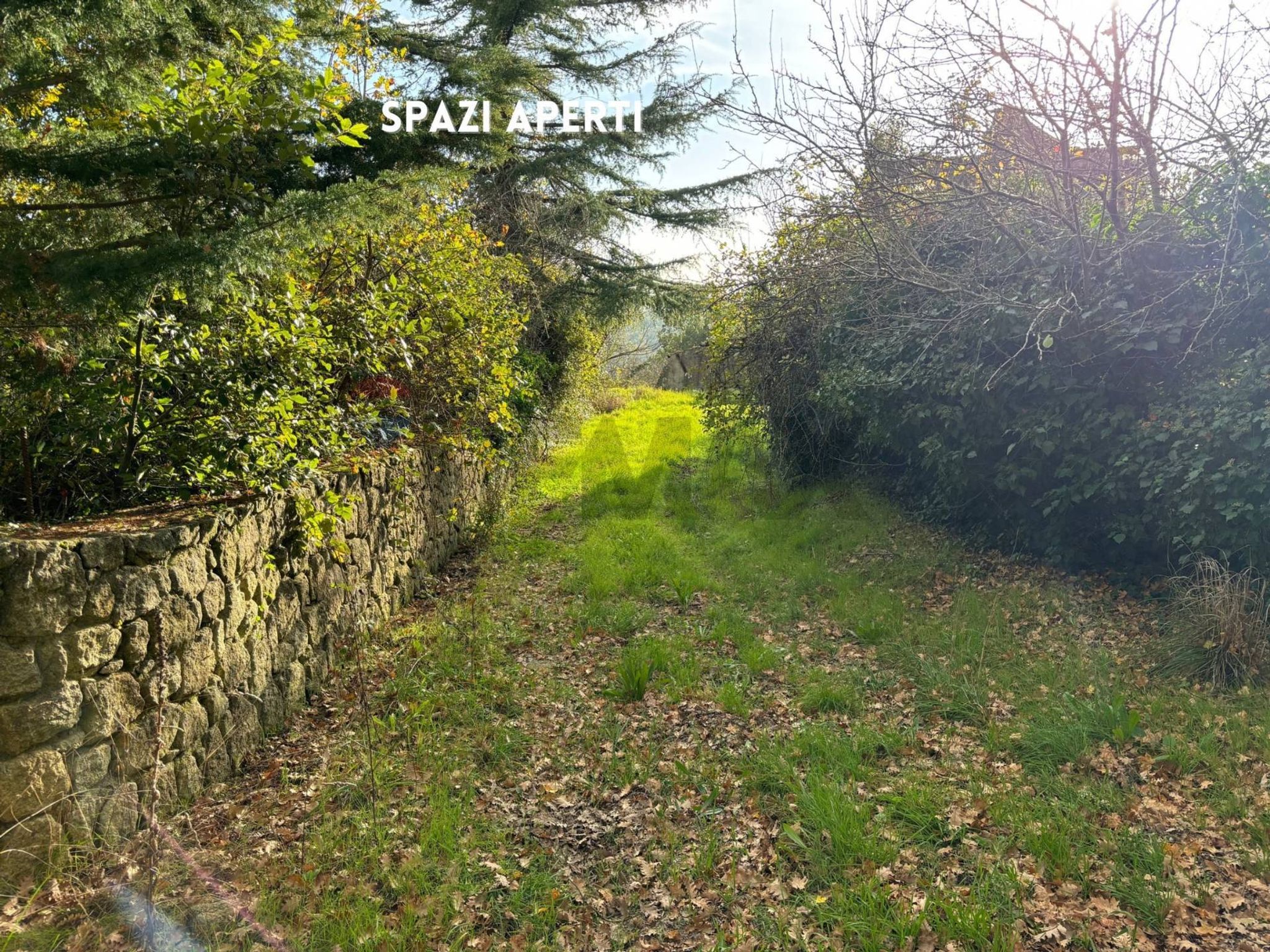 MURA