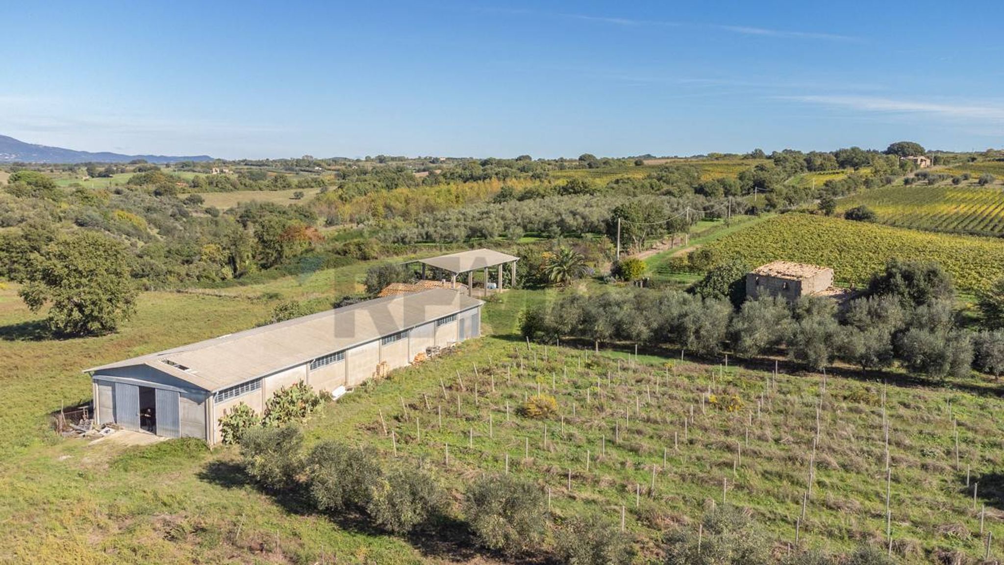 Immobile a Pitigliano