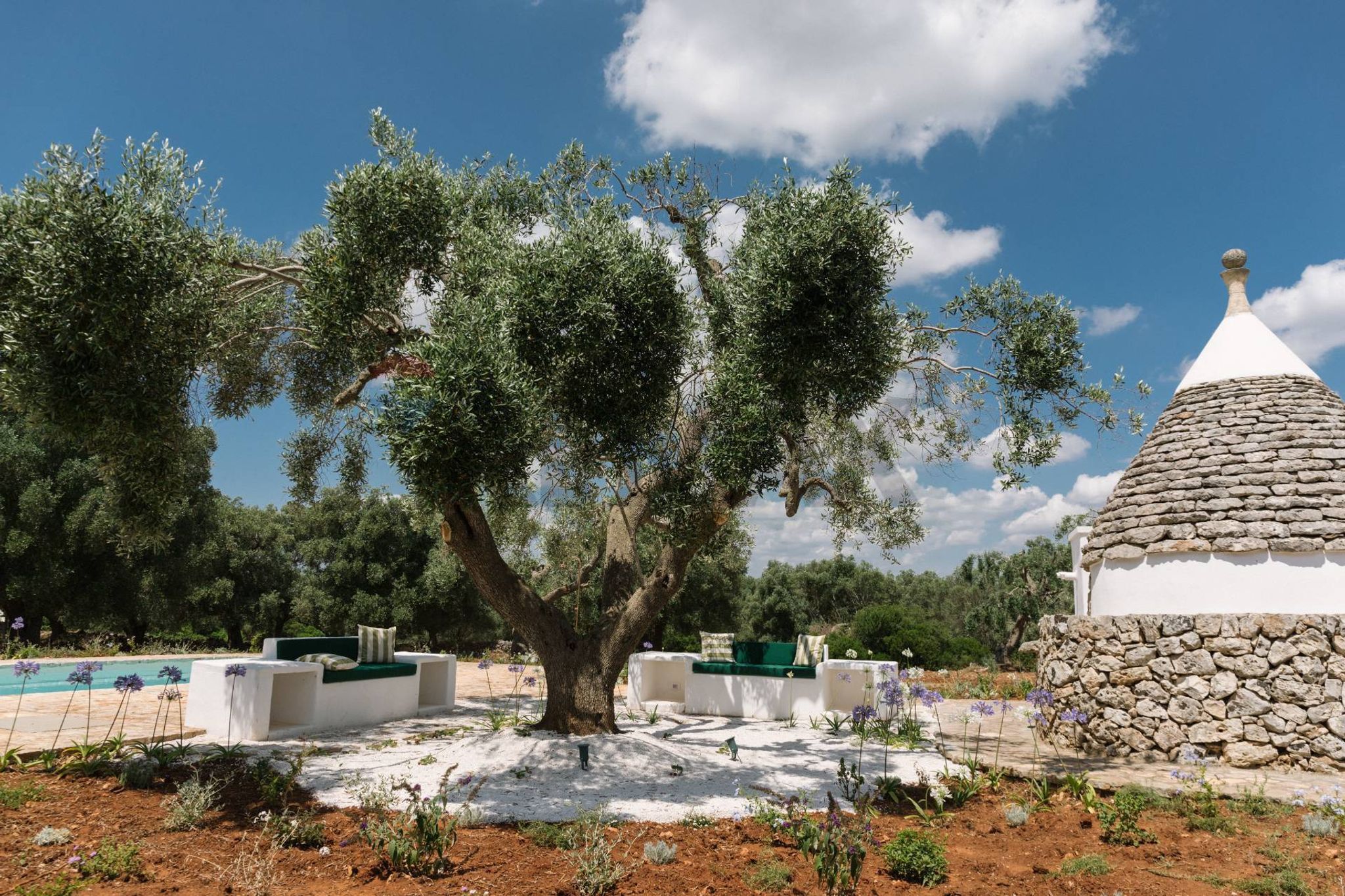 Giardino