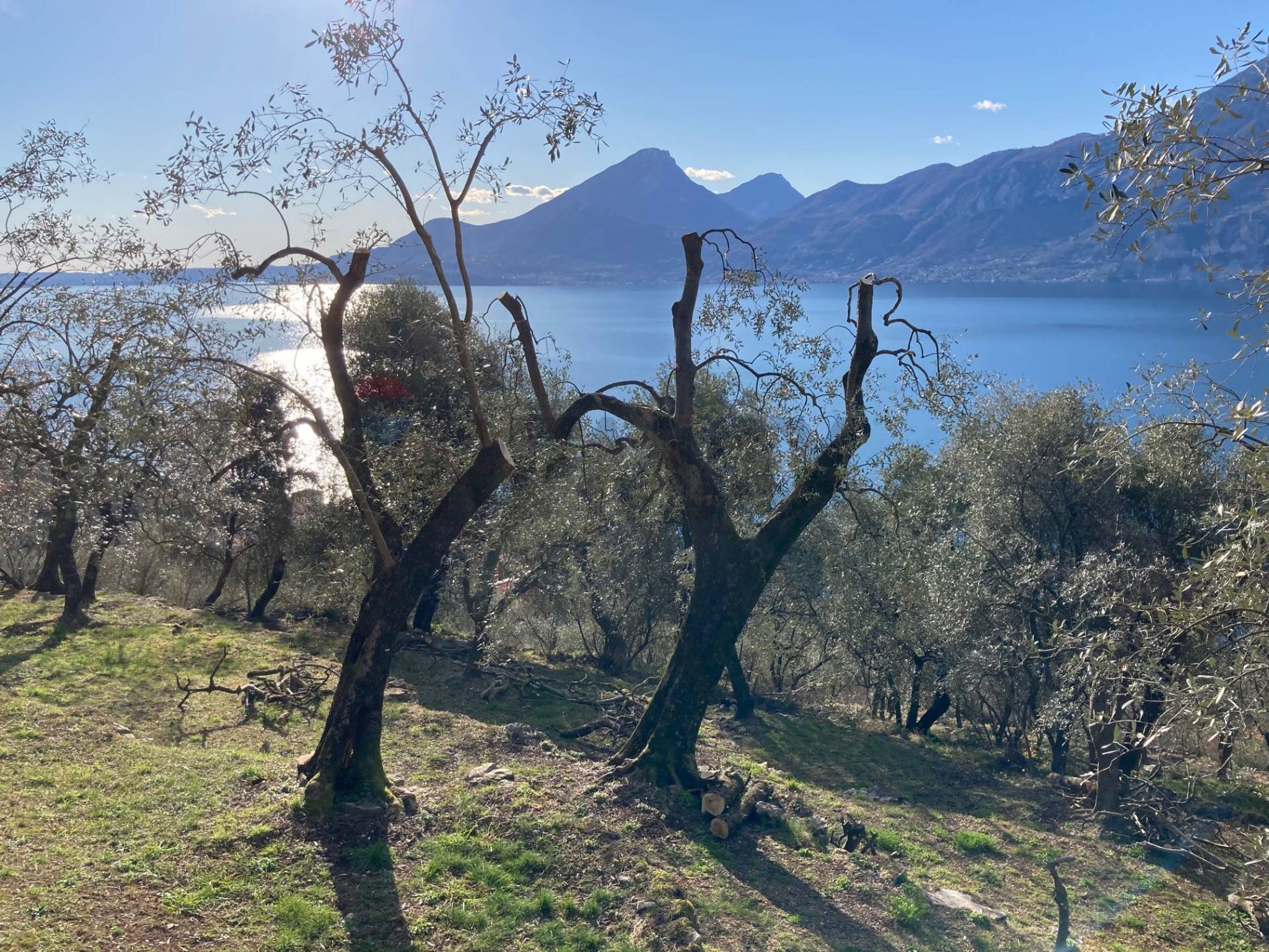 Immobile a Brenzone sul Garda
