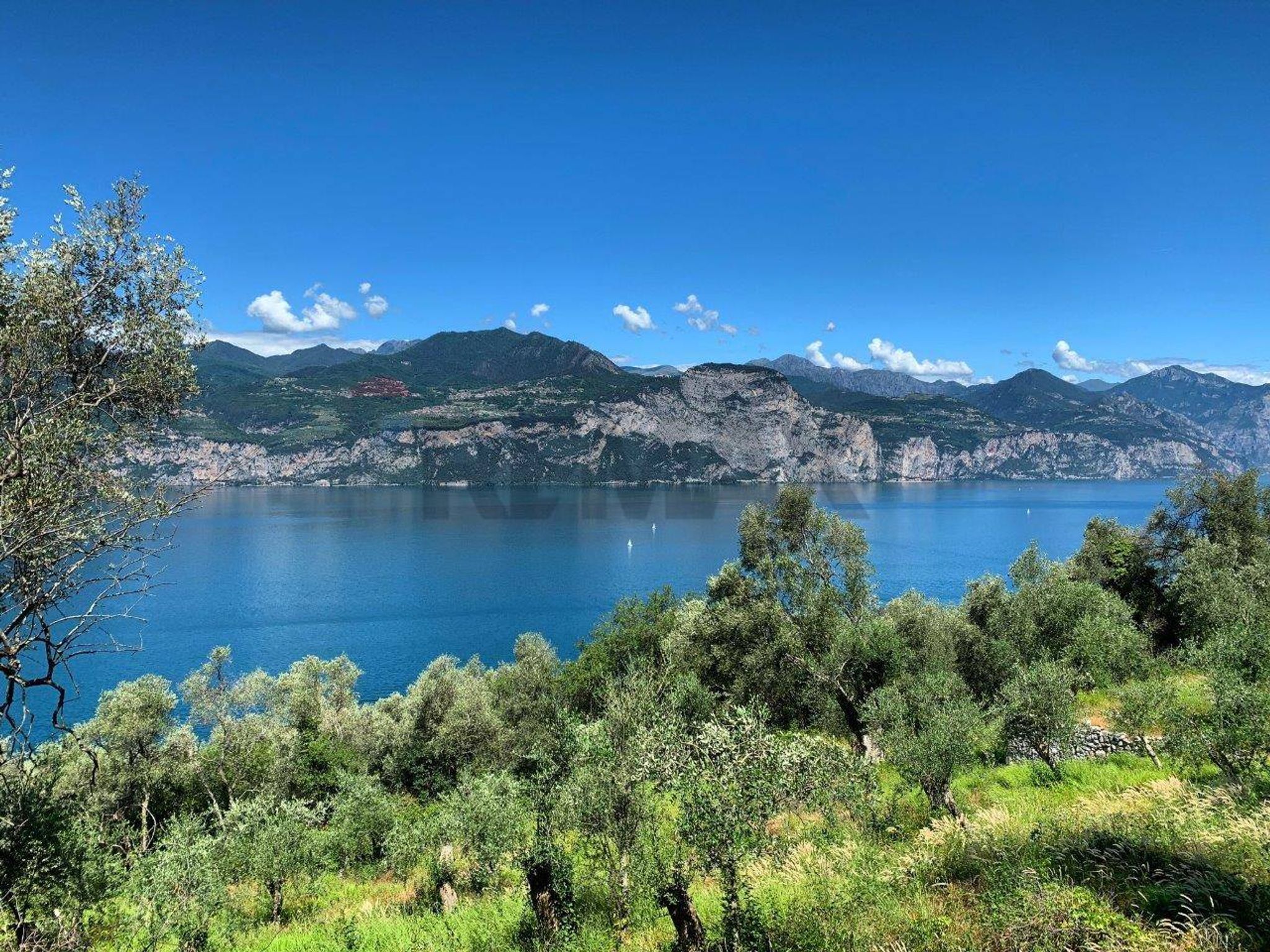 Vista dell'acqua