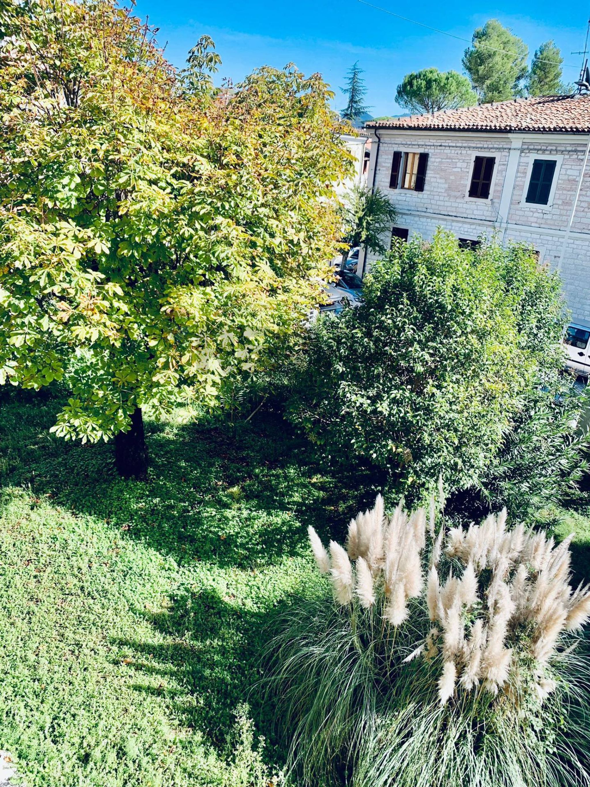 Giardino