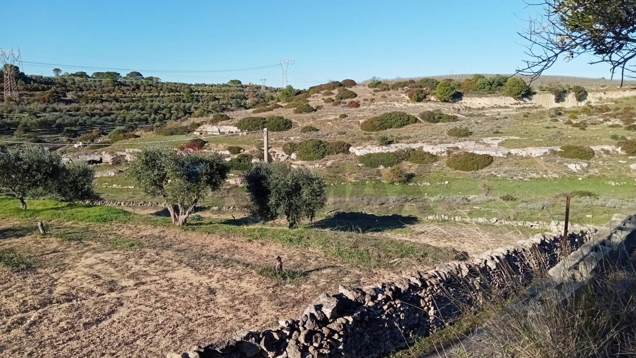 Vista delle montagne