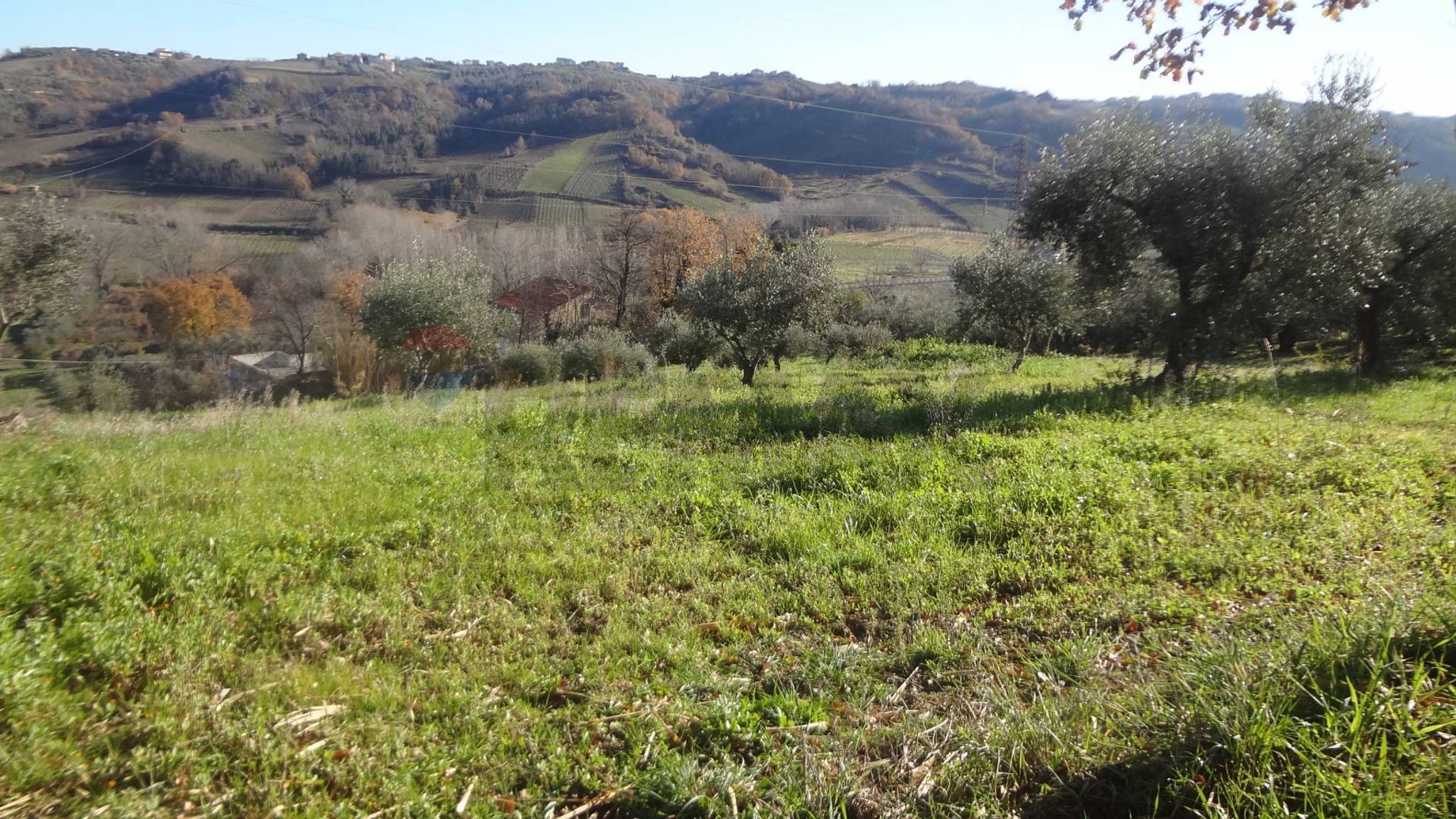 Vista delle montagne