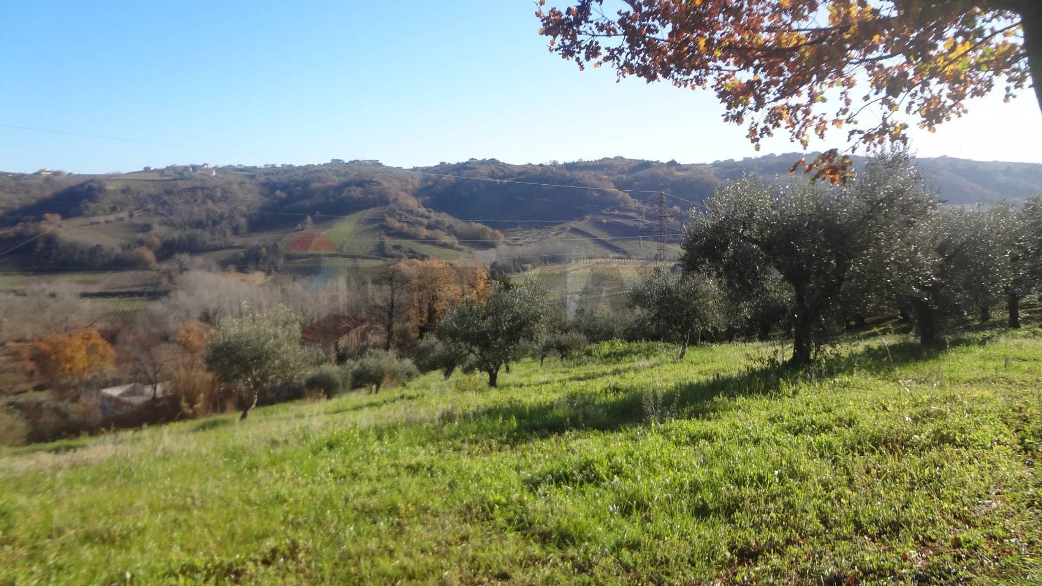 Vista delle montagne