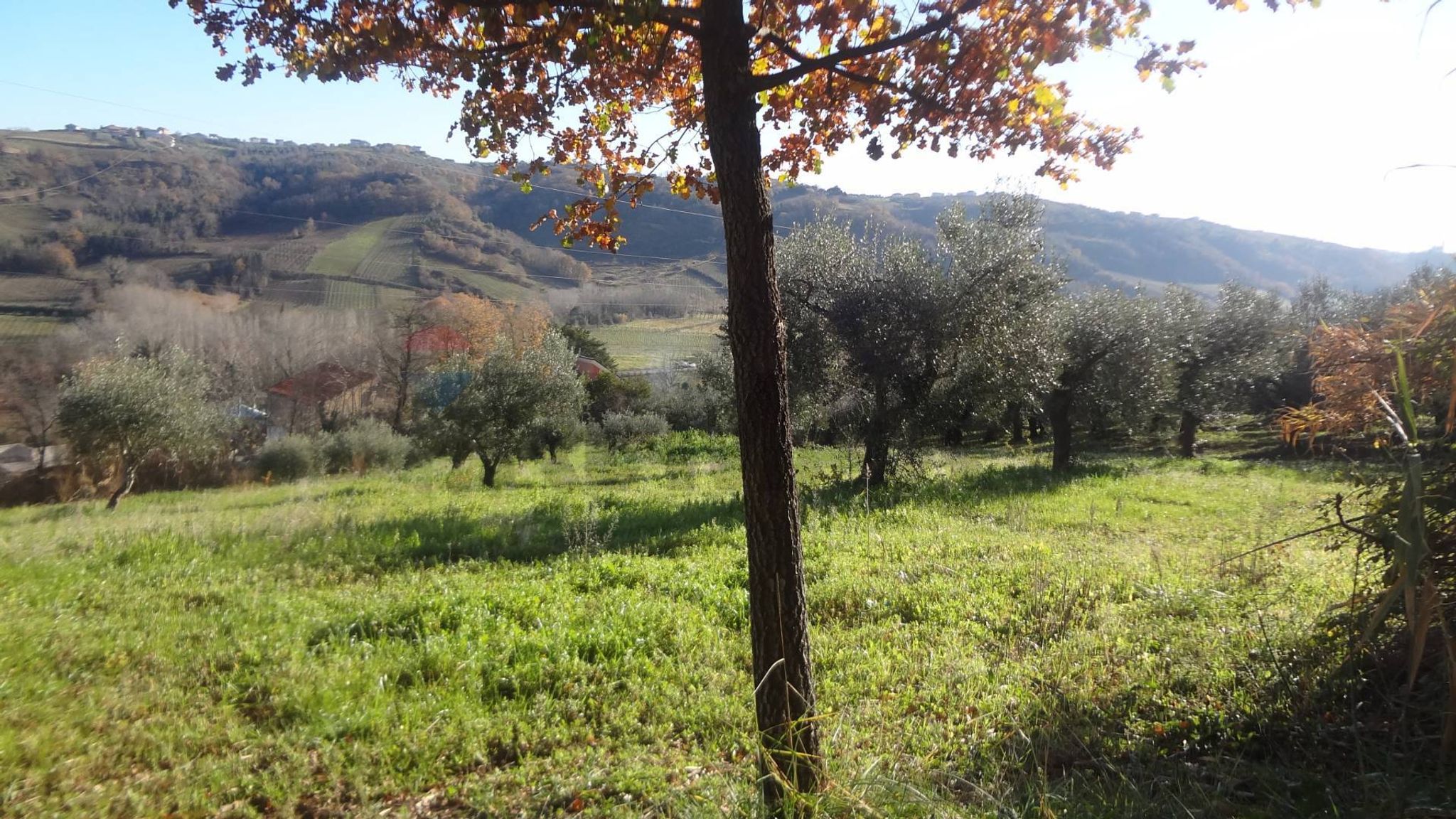 Property in Miglianico