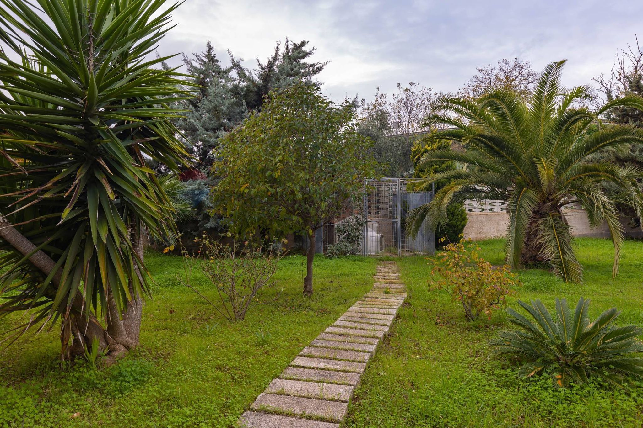 Giardino
