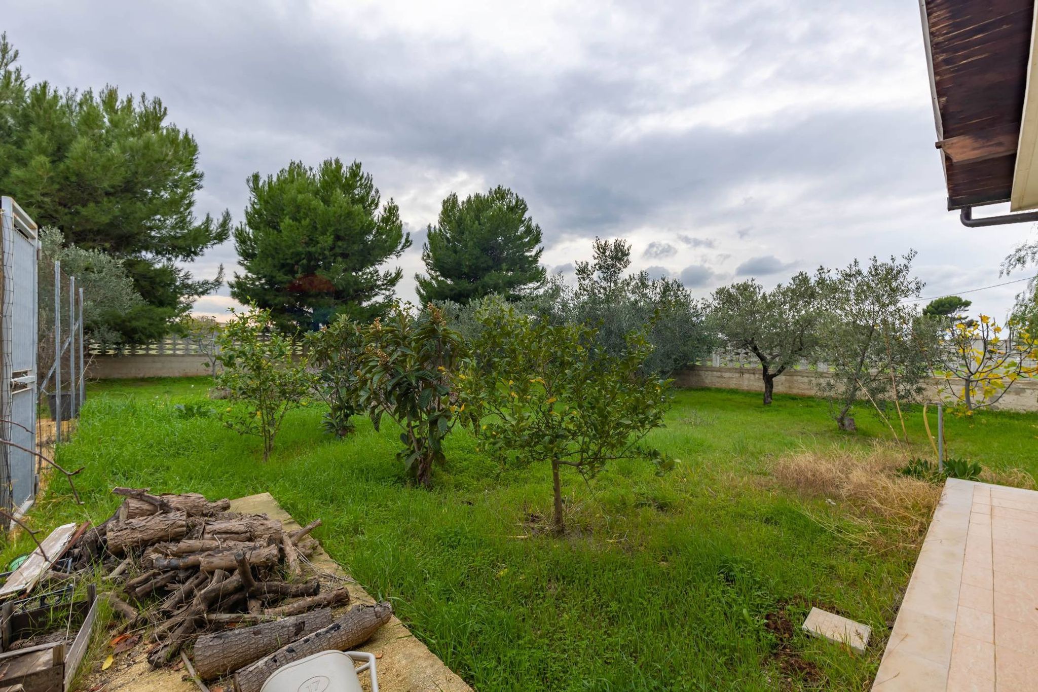 Giardino