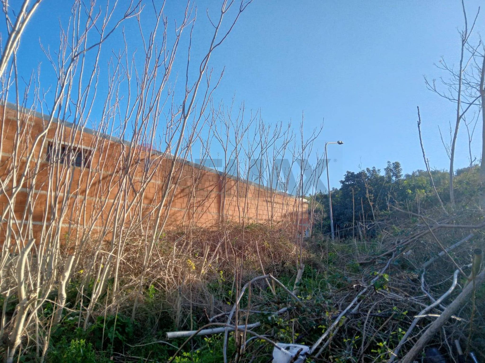Vista delle montagne