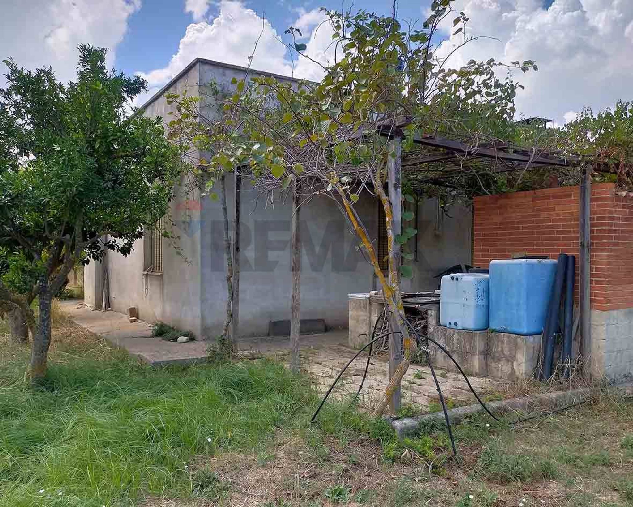 Giardino