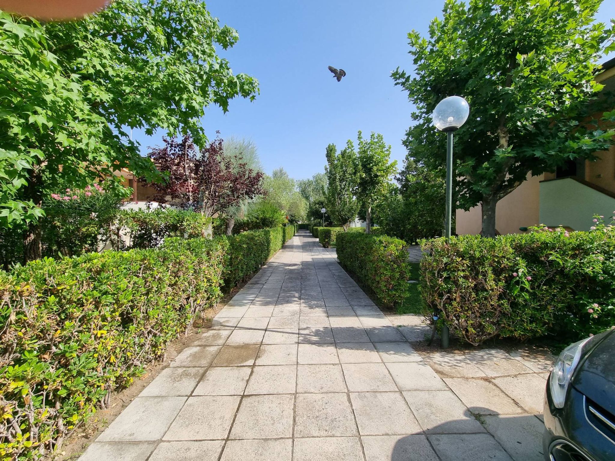 Giardino