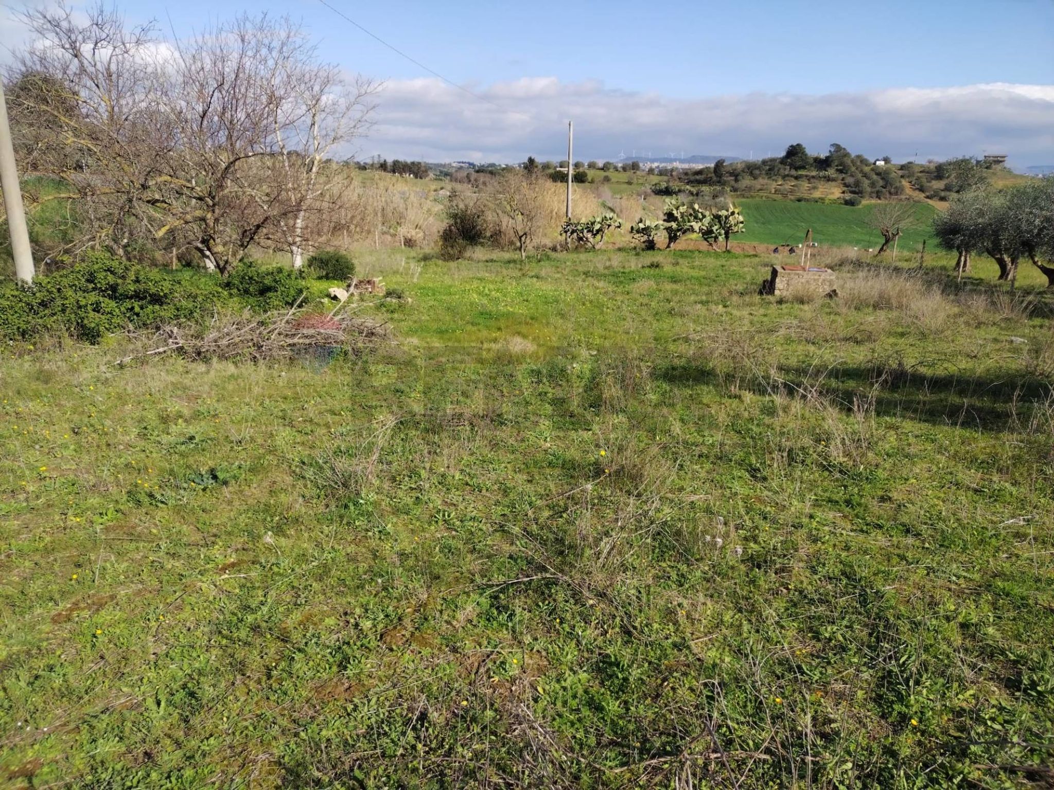 Vista delle montagne