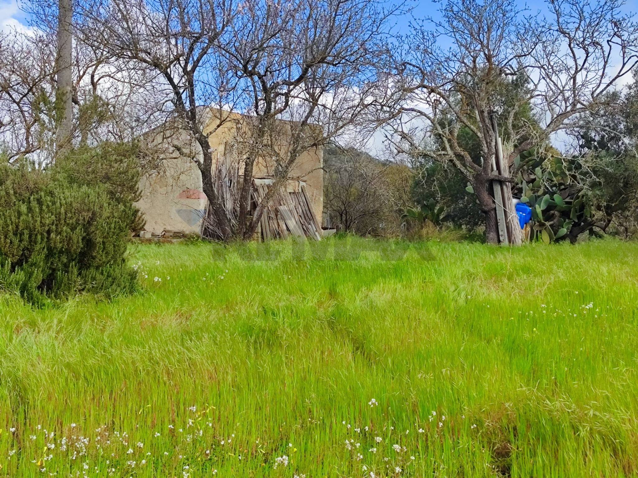 Giardino