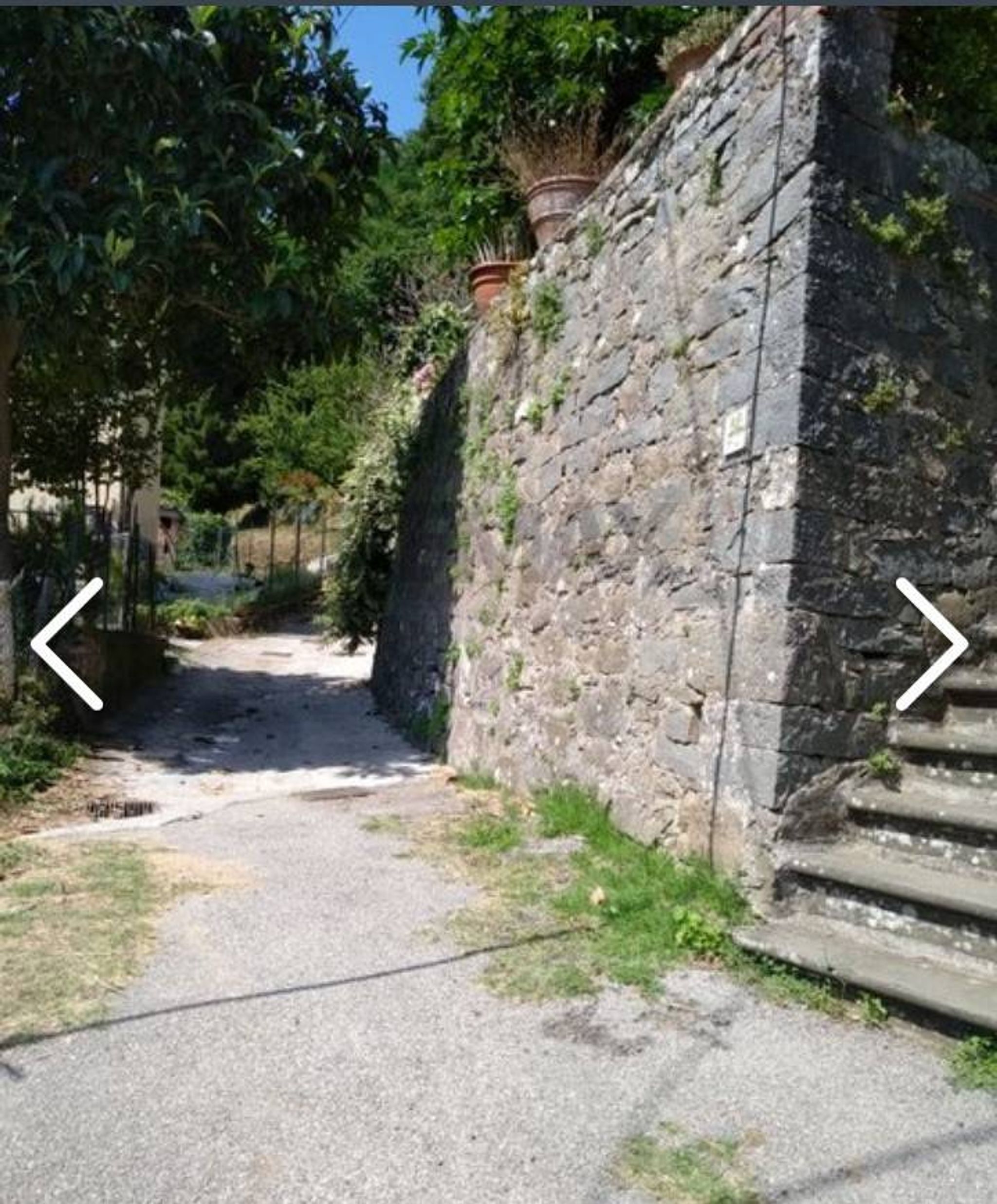 Giardino