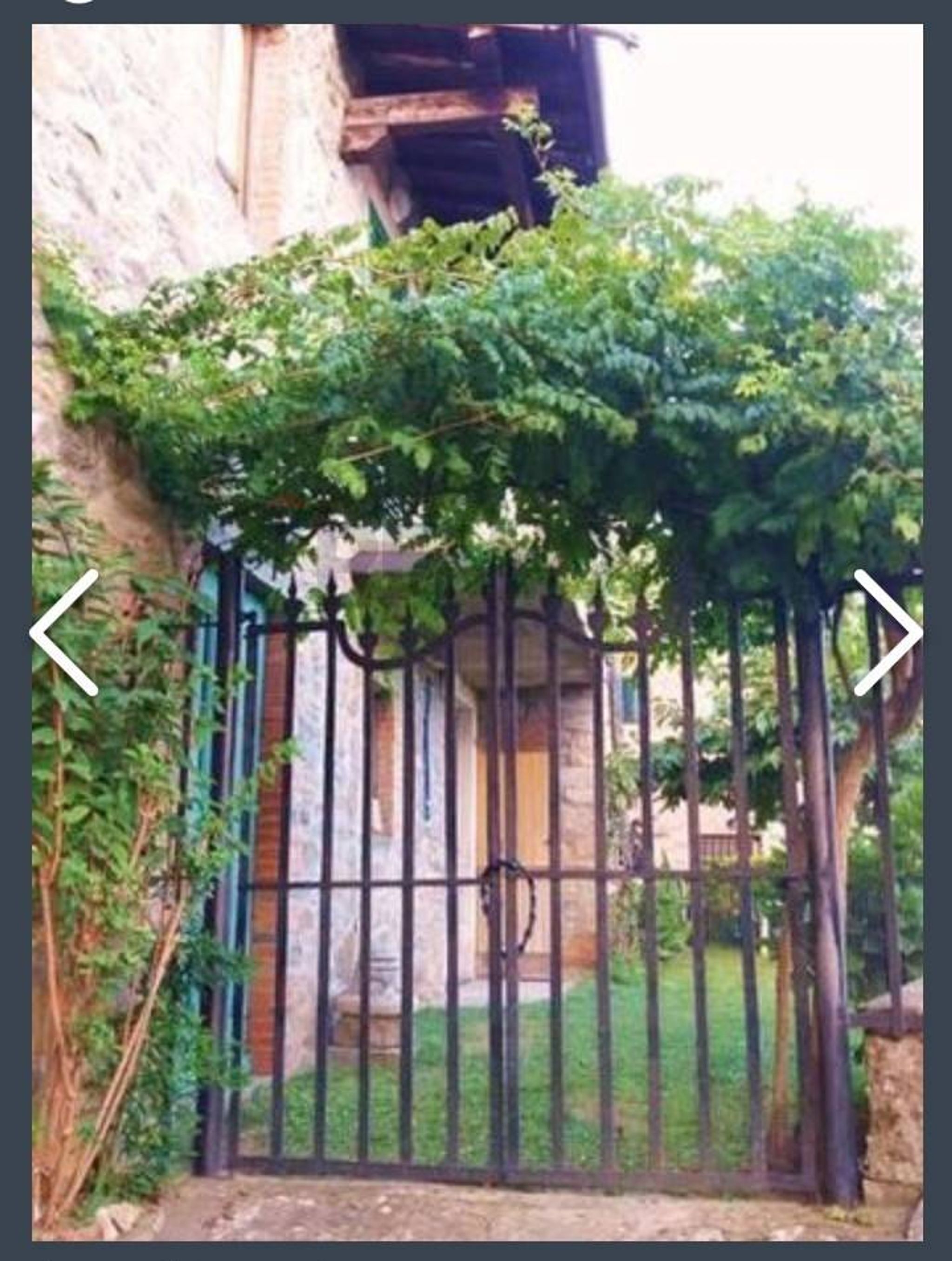 Giardino