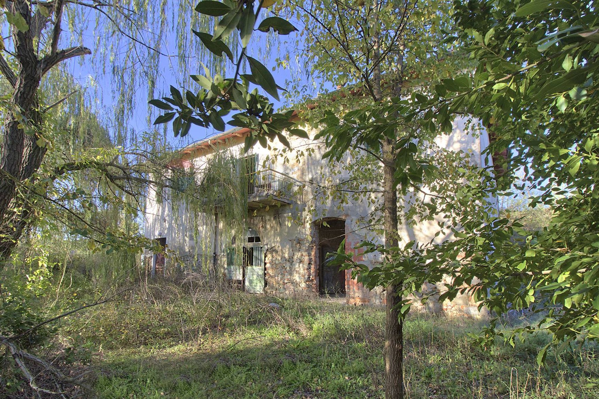 Giardino