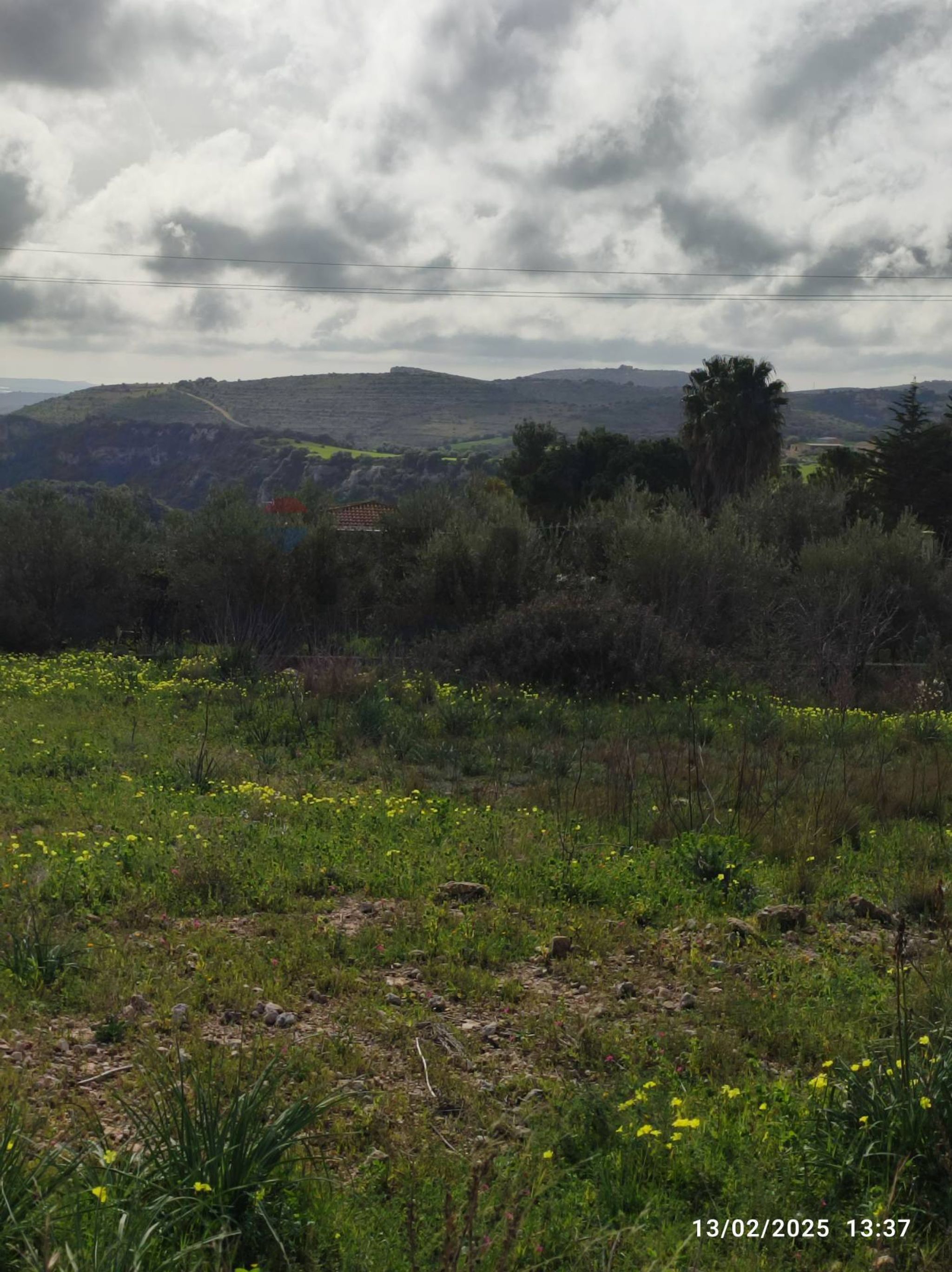 Vista delle montagne