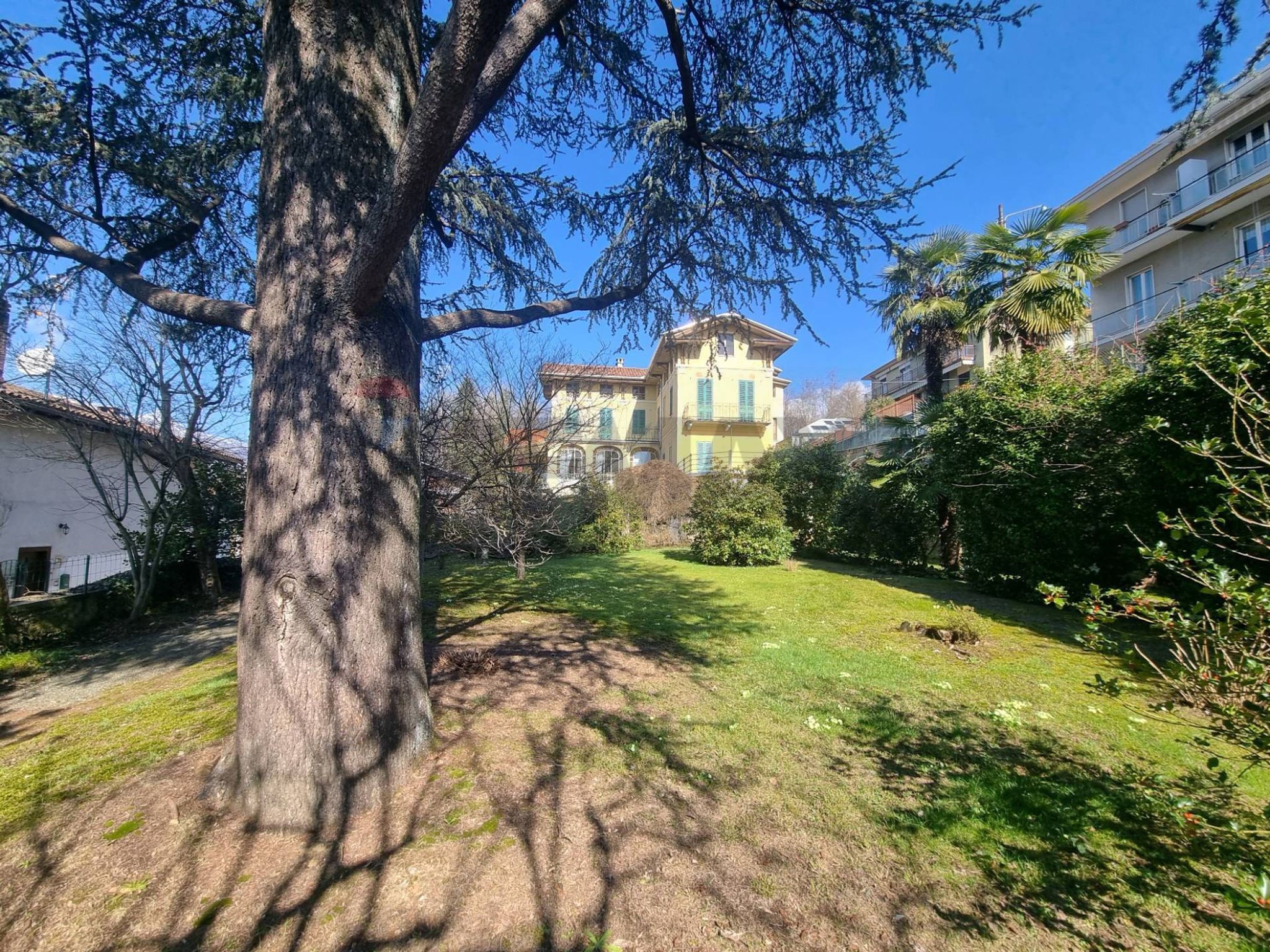 Giardino