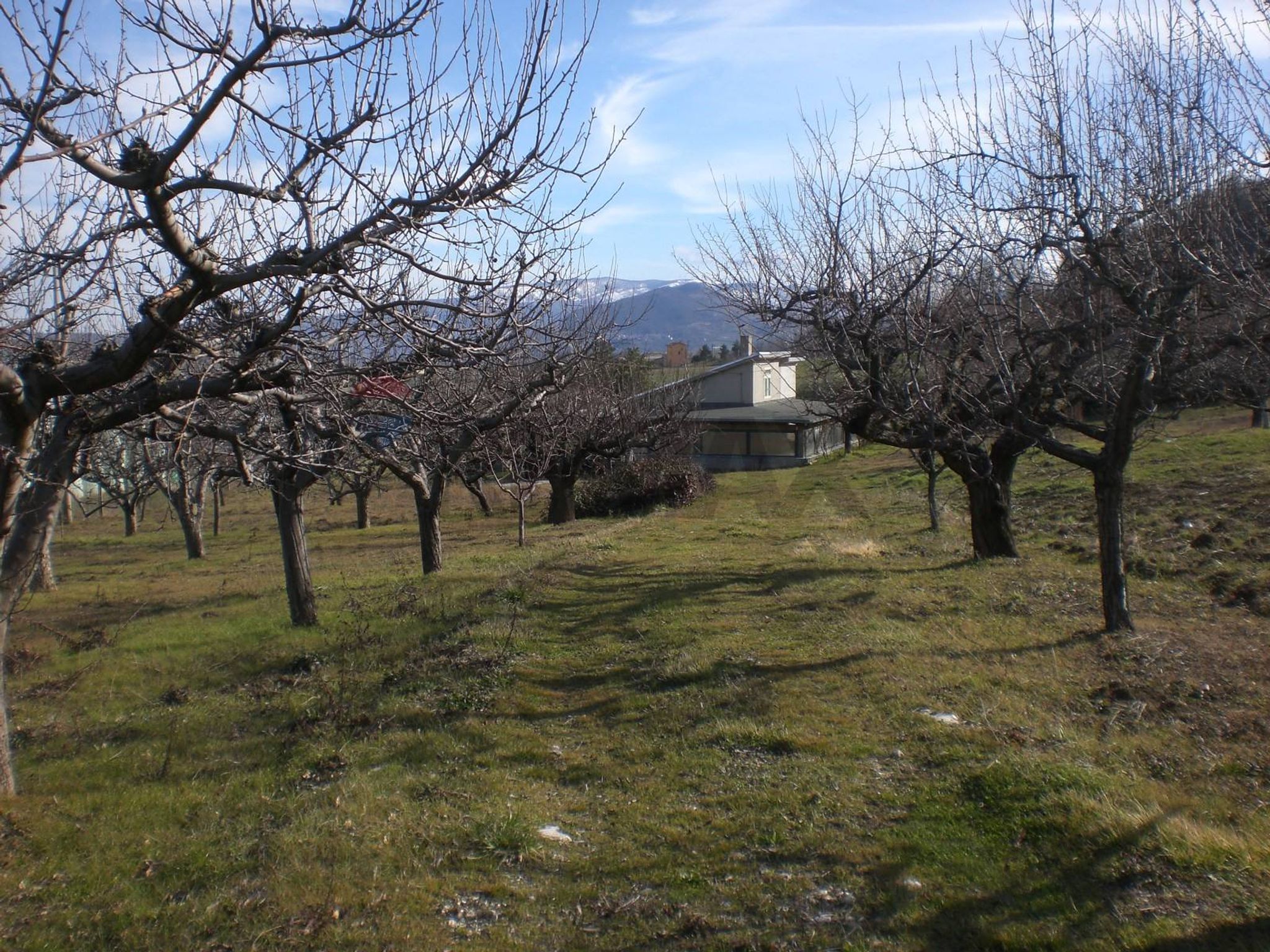 Giardino