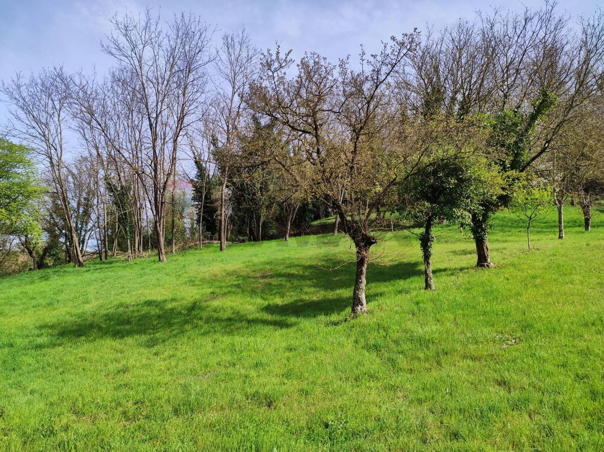 Immobile a Figline e Incisa Valdarno