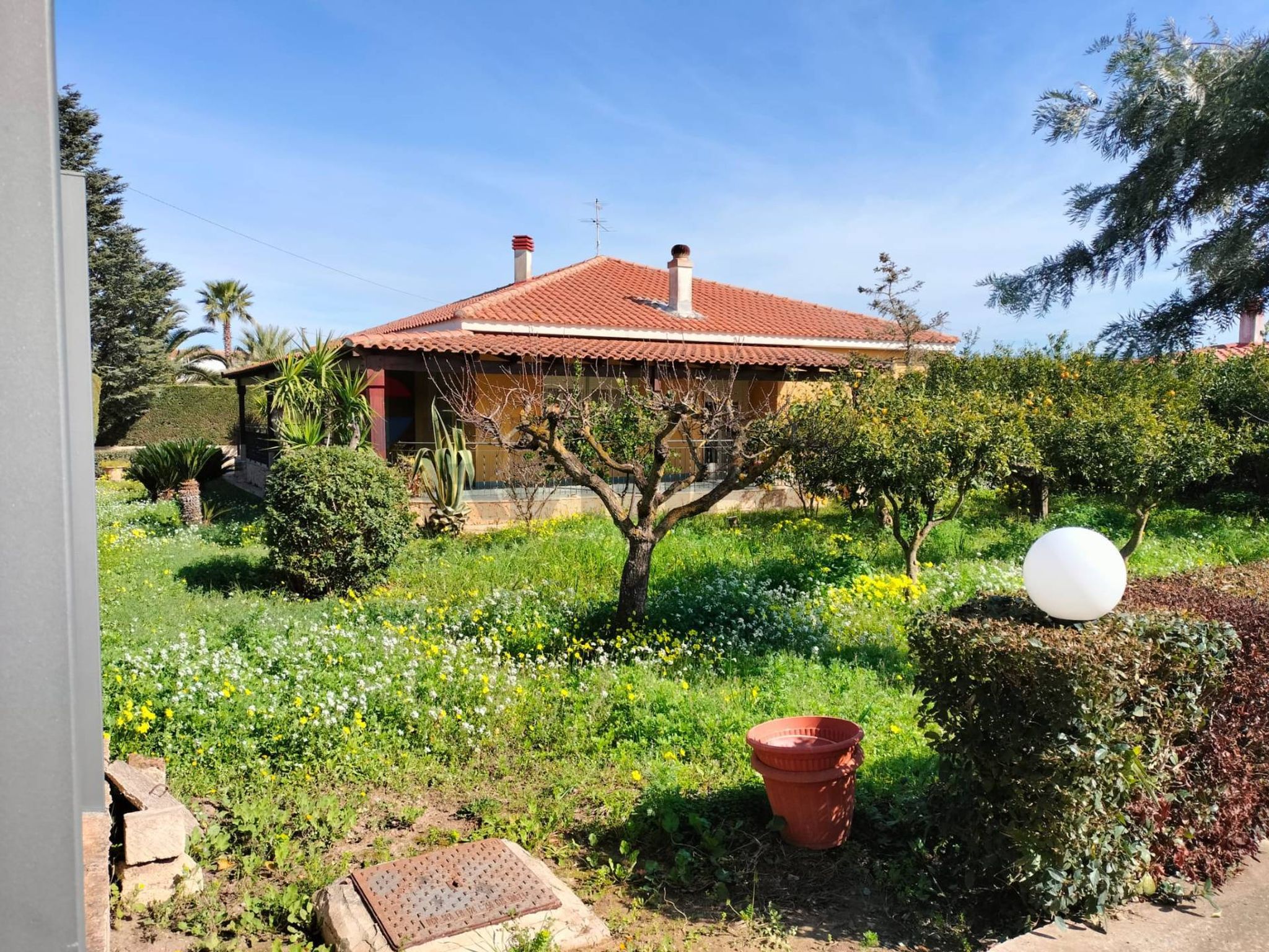 Giardino