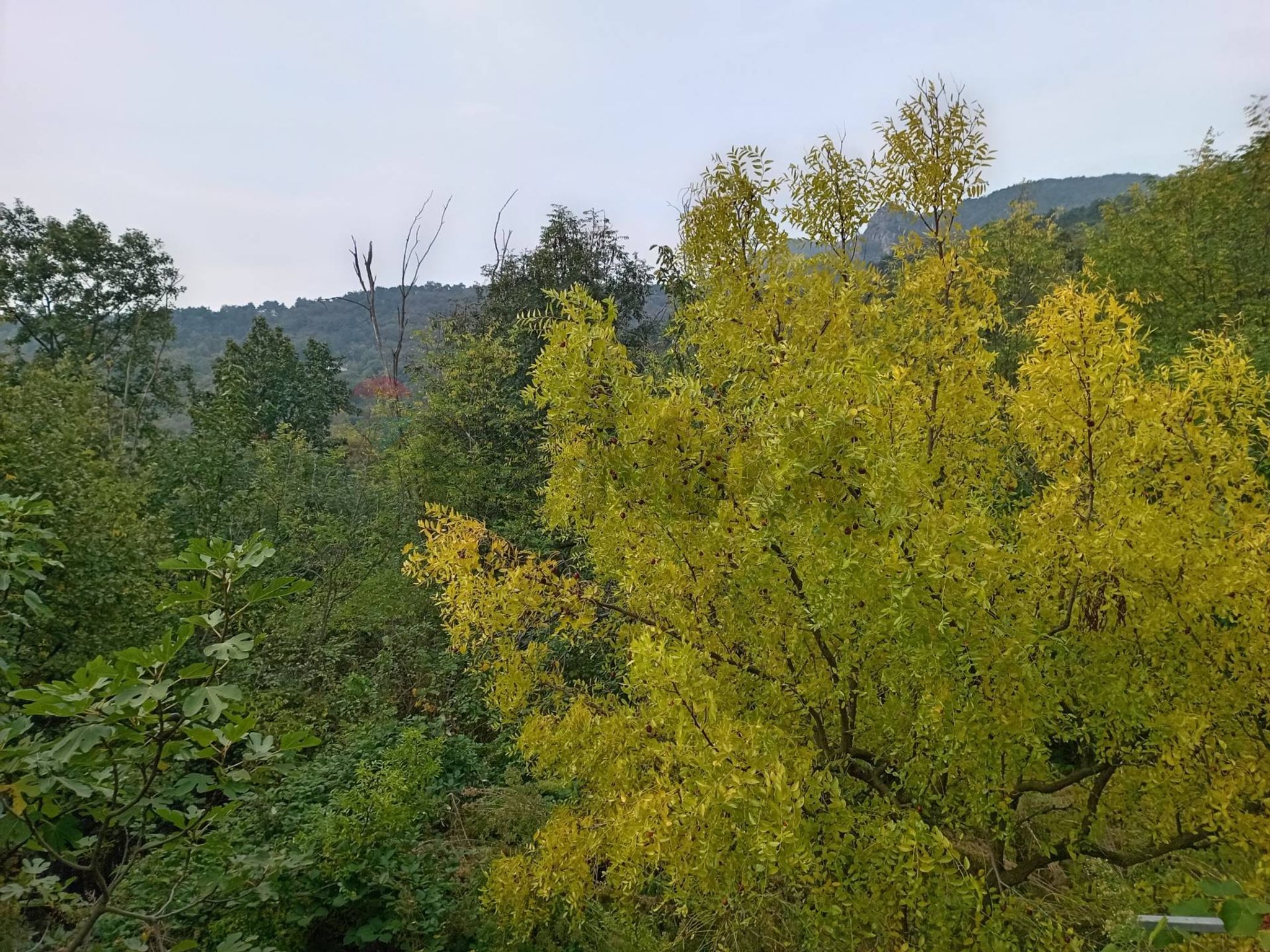 Vista delle montagne