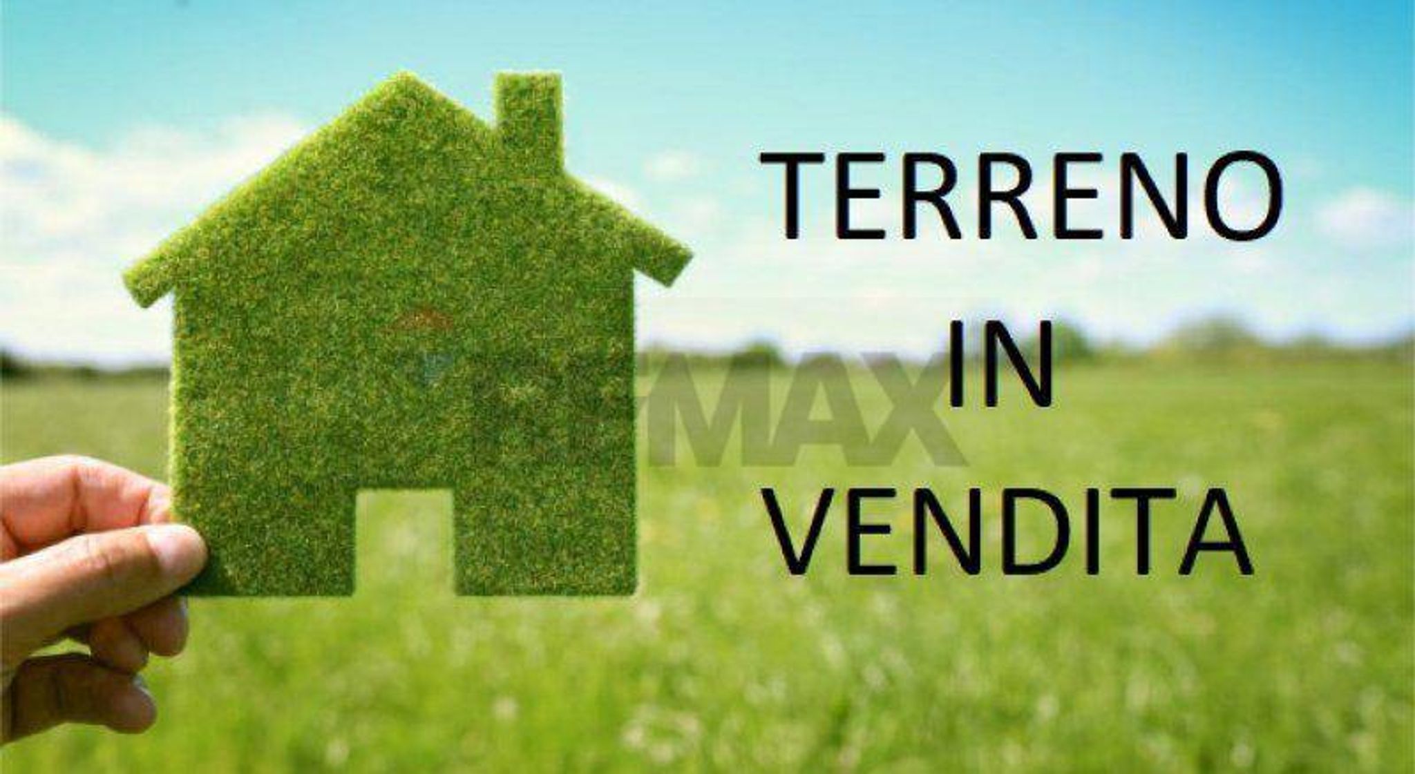 Non correlato