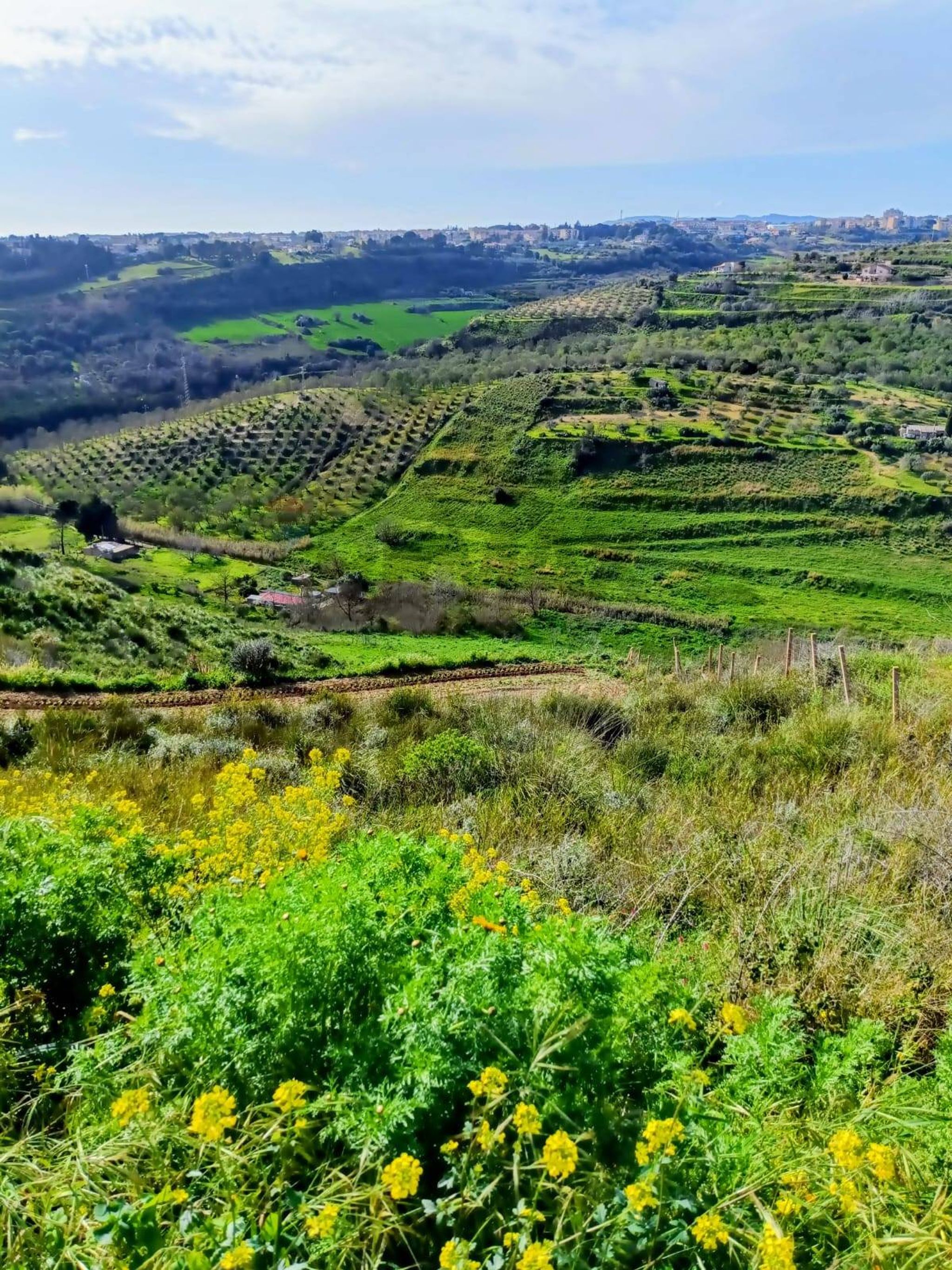 Vista delle montagne